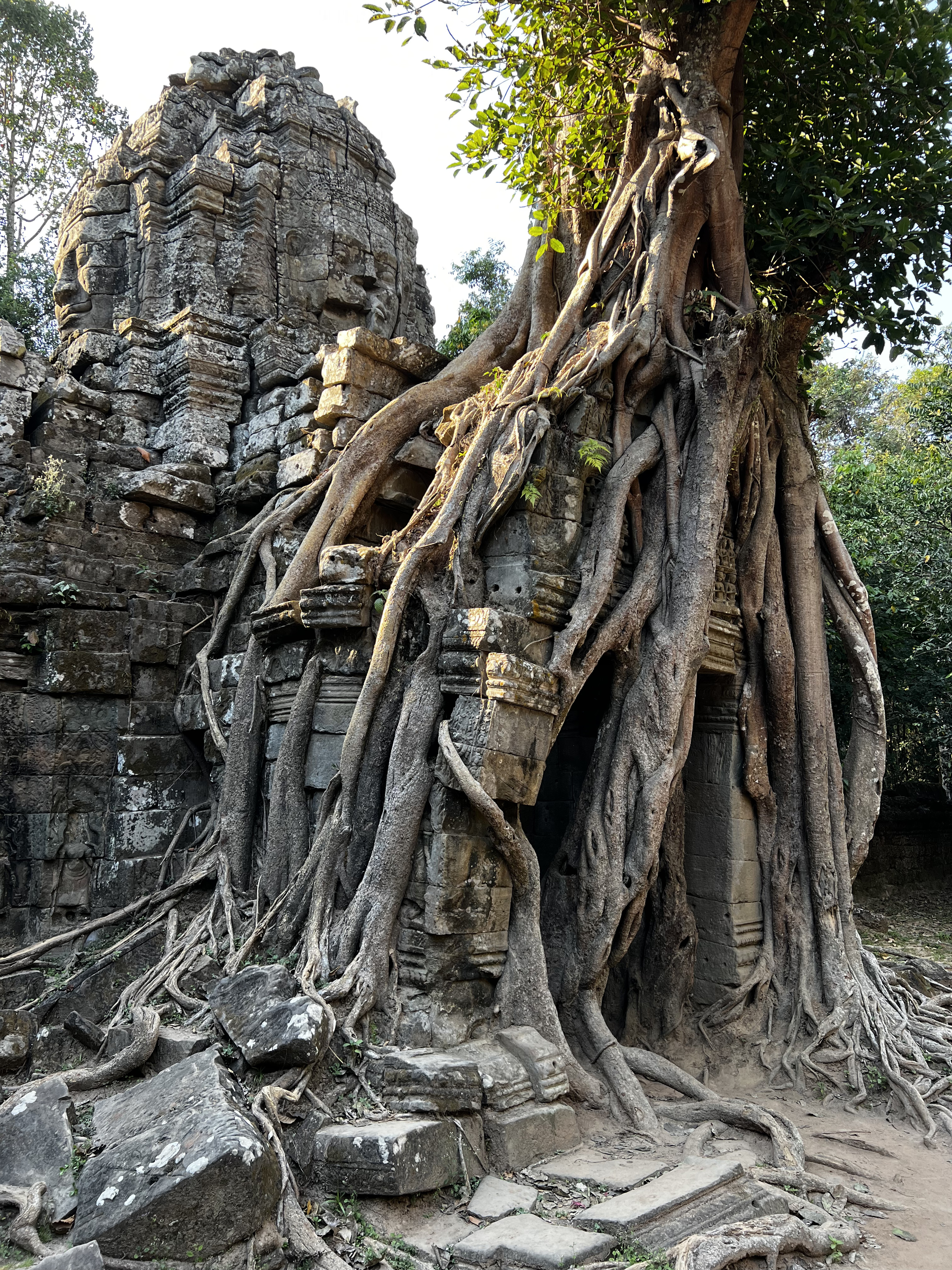 Picture Cambodia Siem Reap Ta Som 2023-01 1 - Around Ta Som