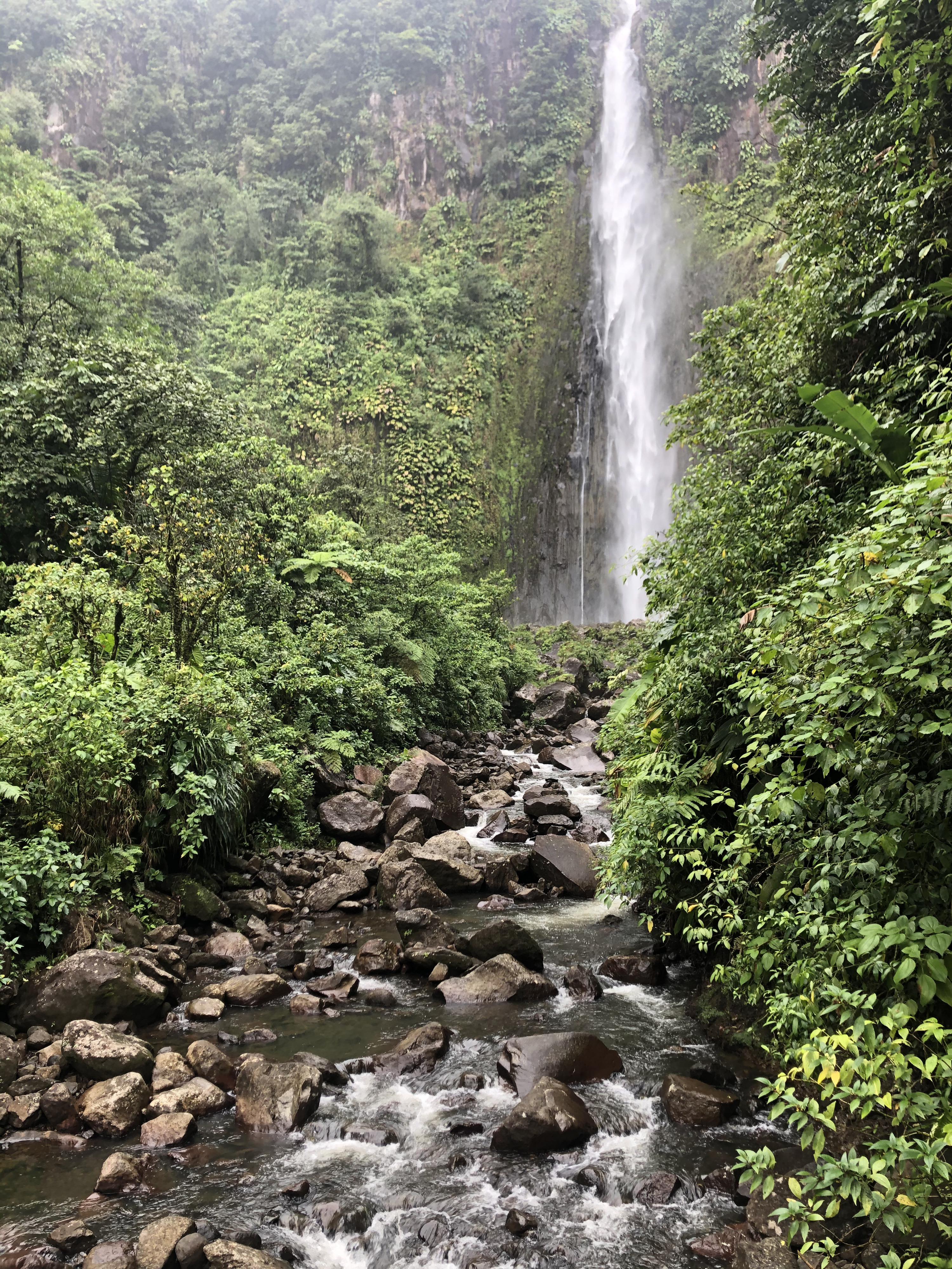 Picture Guadeloupe Carbet Falls 2021-02 39 - Recreation Carbet Falls