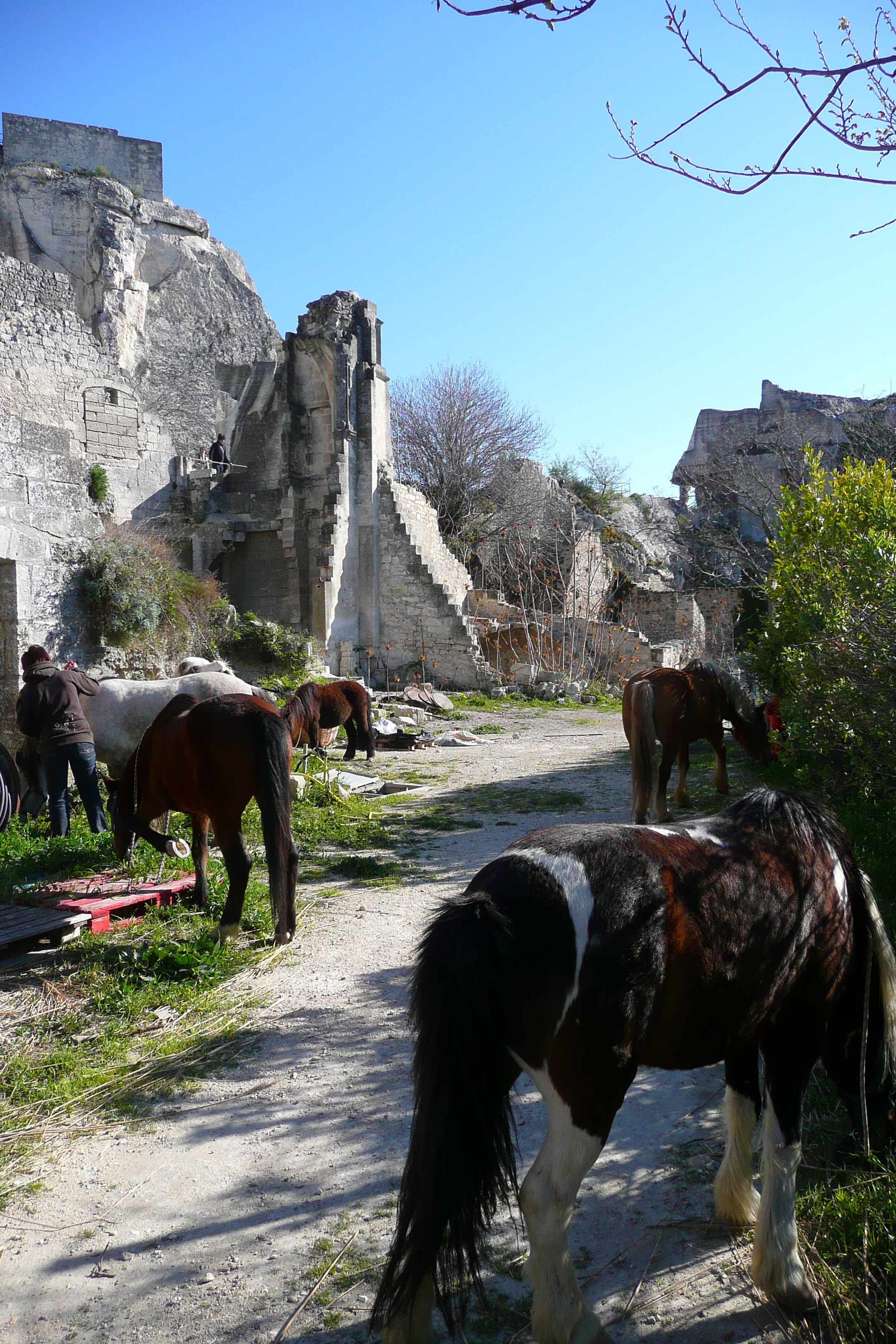 Picture France Baux de Provence Baux de Provence Castle 2008-04 133 - Discovery Baux de Provence Castle