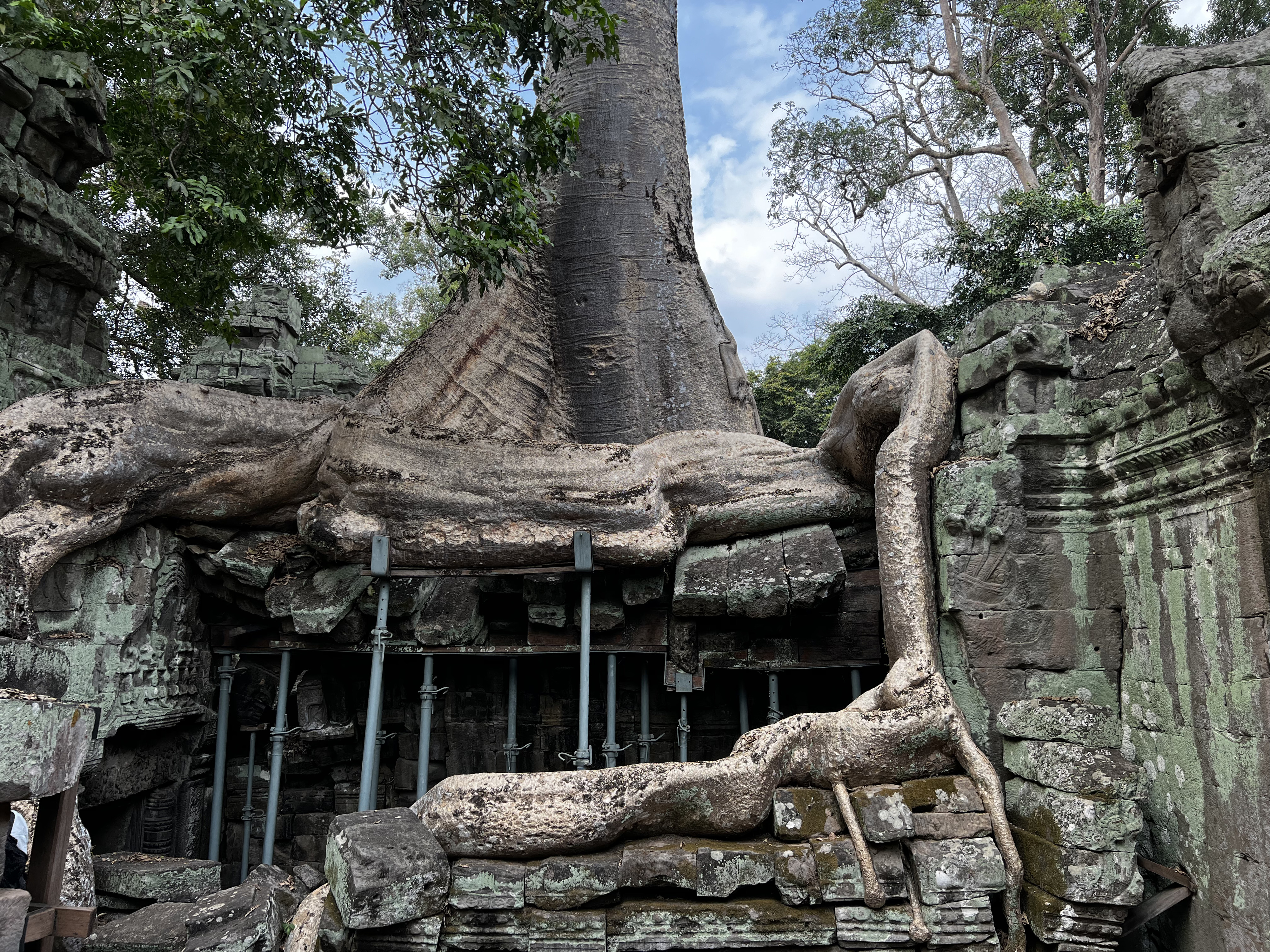 Picture Cambodia Siem Reap Ta Prohm 2023-01 33 - Around Ta Prohm