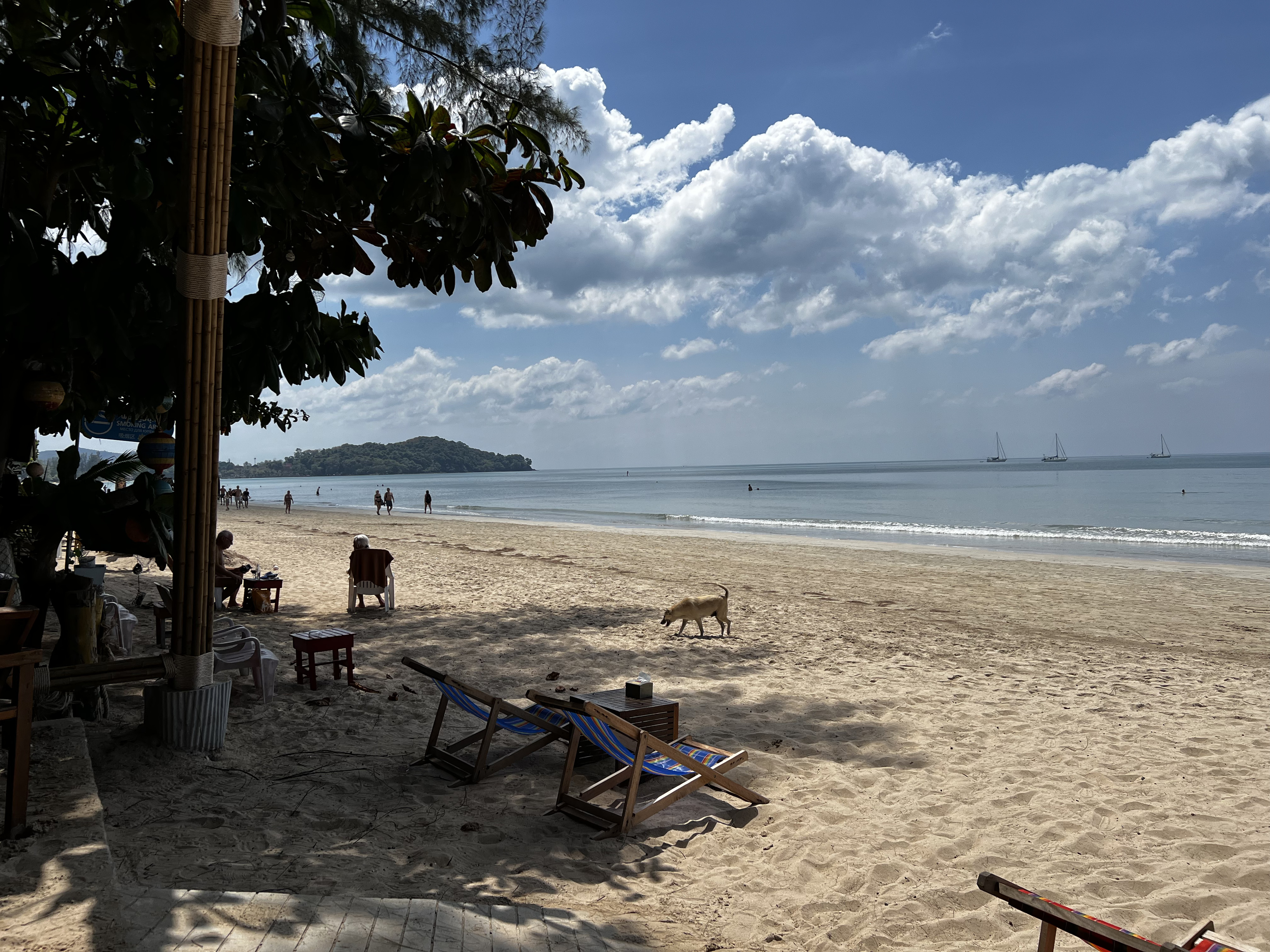 Picture Thailand Ko Lanta 2023-01 225 - Discovery Ko Lanta