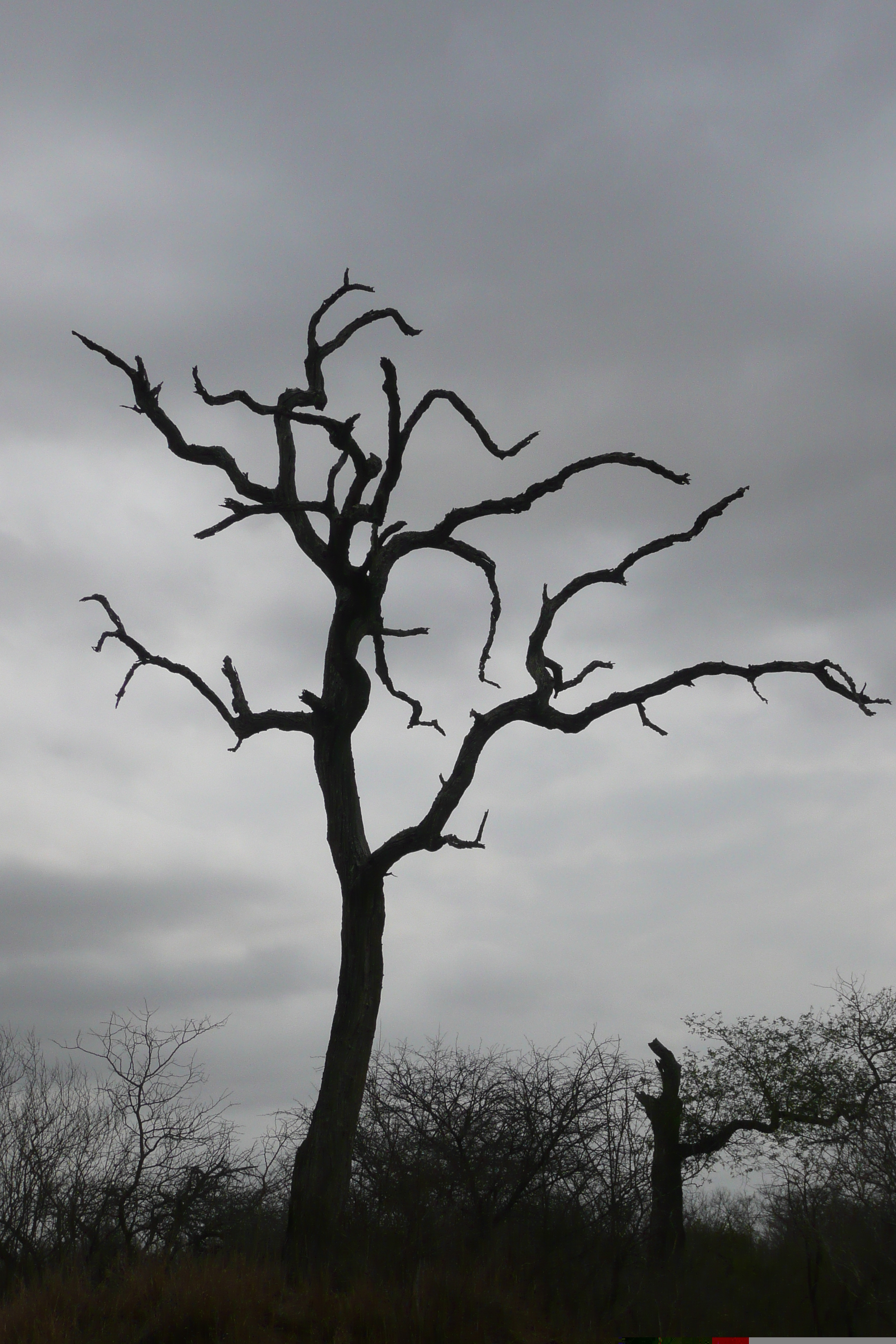 Picture South Africa Kruger National Park 2008-09 112 - History Kruger National Park