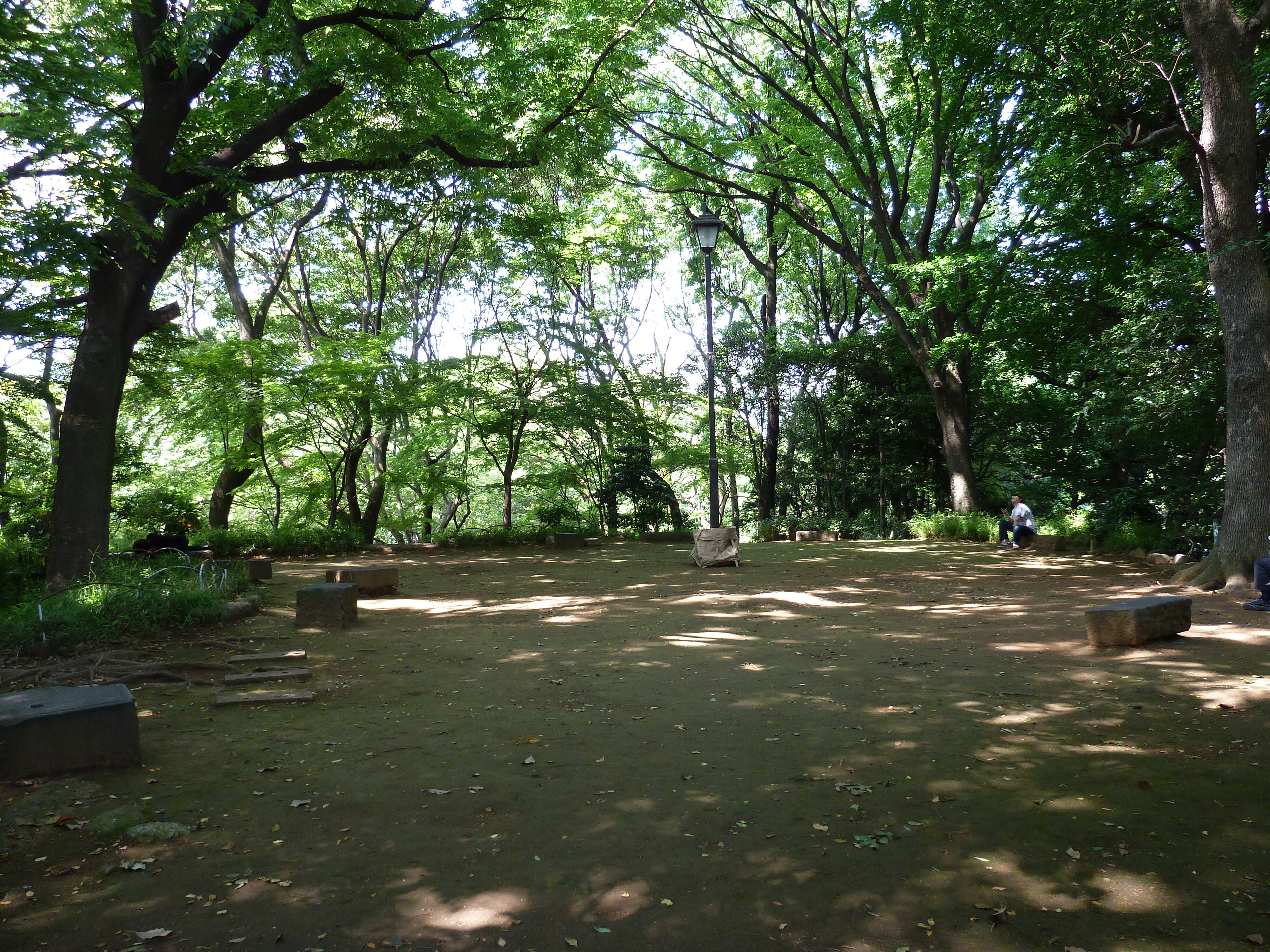 Picture Japan Tokyo Ueno 2010-06 27 - Recreation Ueno