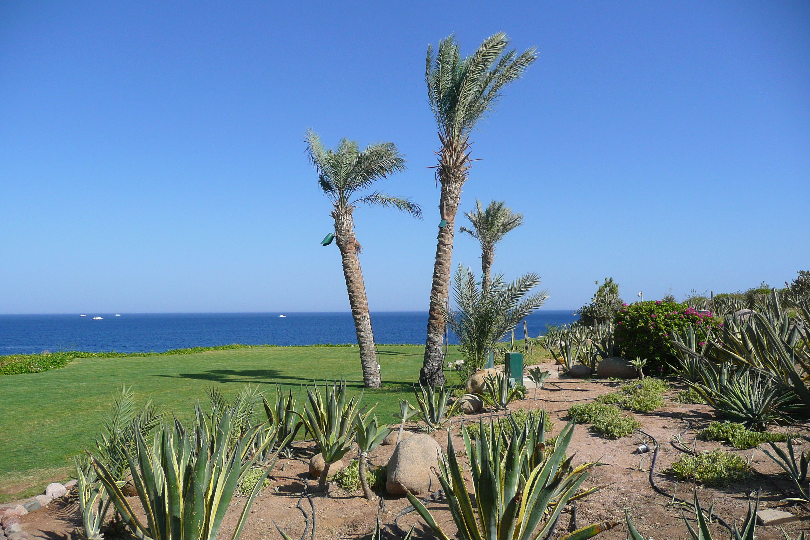 Picture Egypt Sharm el Sheikh Four Seasons Hotel Four Seasons Beach 2008-06 52 - Tours Four Seasons Beach