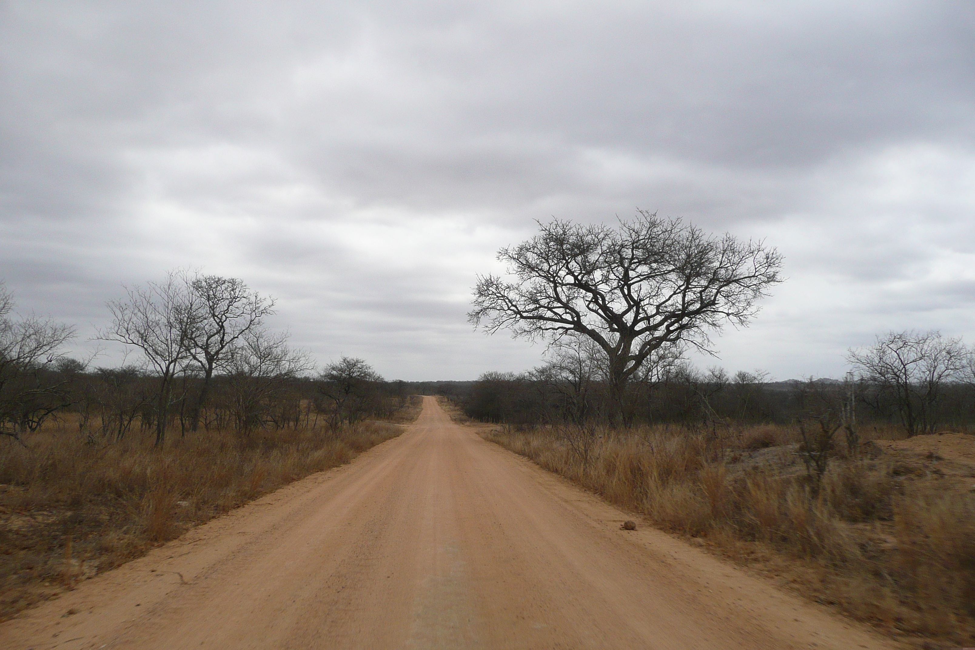 Picture South Africa Kruger National Park 2008-09 72 - Around Kruger National Park