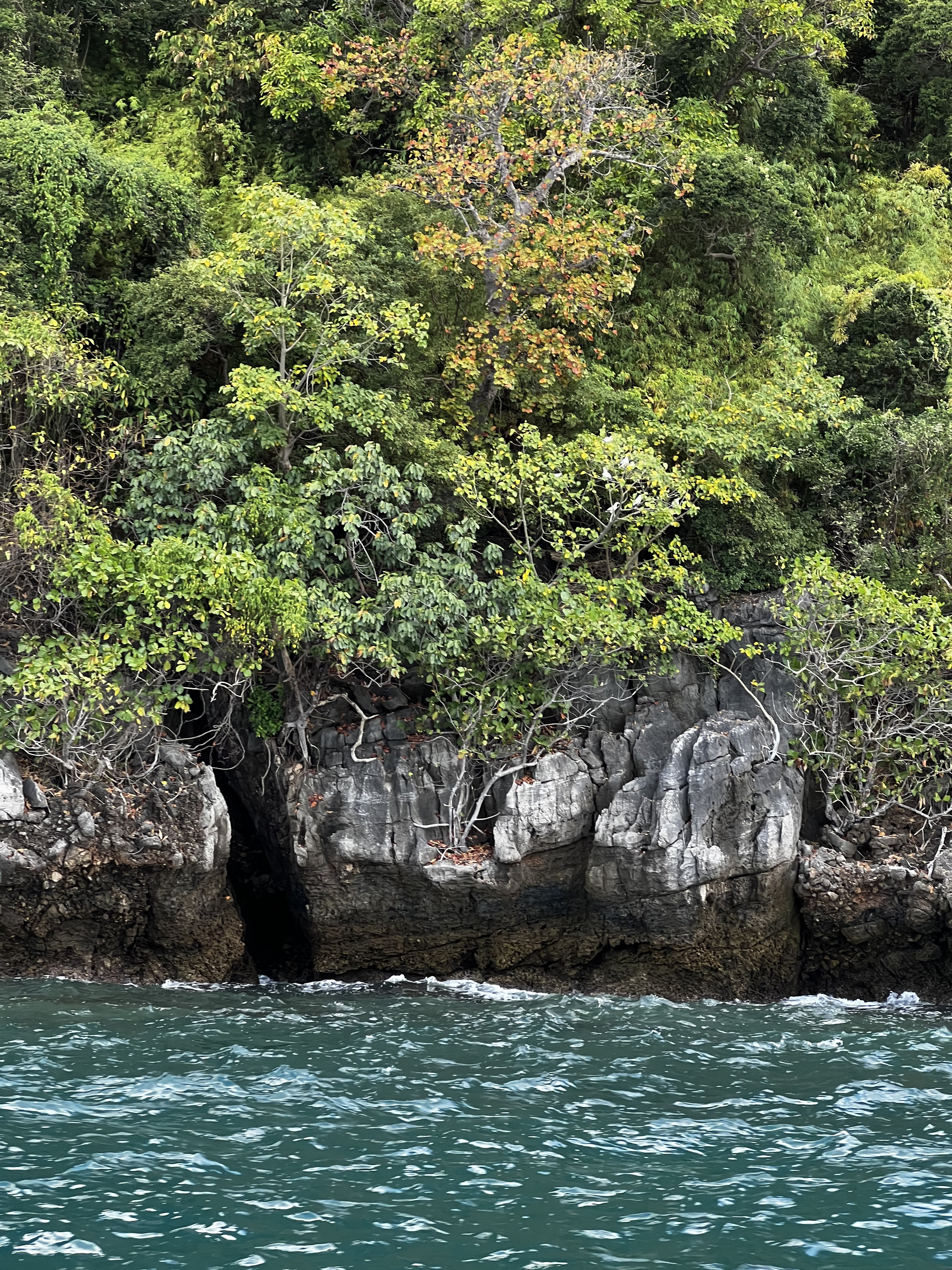 Picture Thailand Ko Phi Phi Ley 2021-12 82 - Recreation Ko Phi Phi Ley