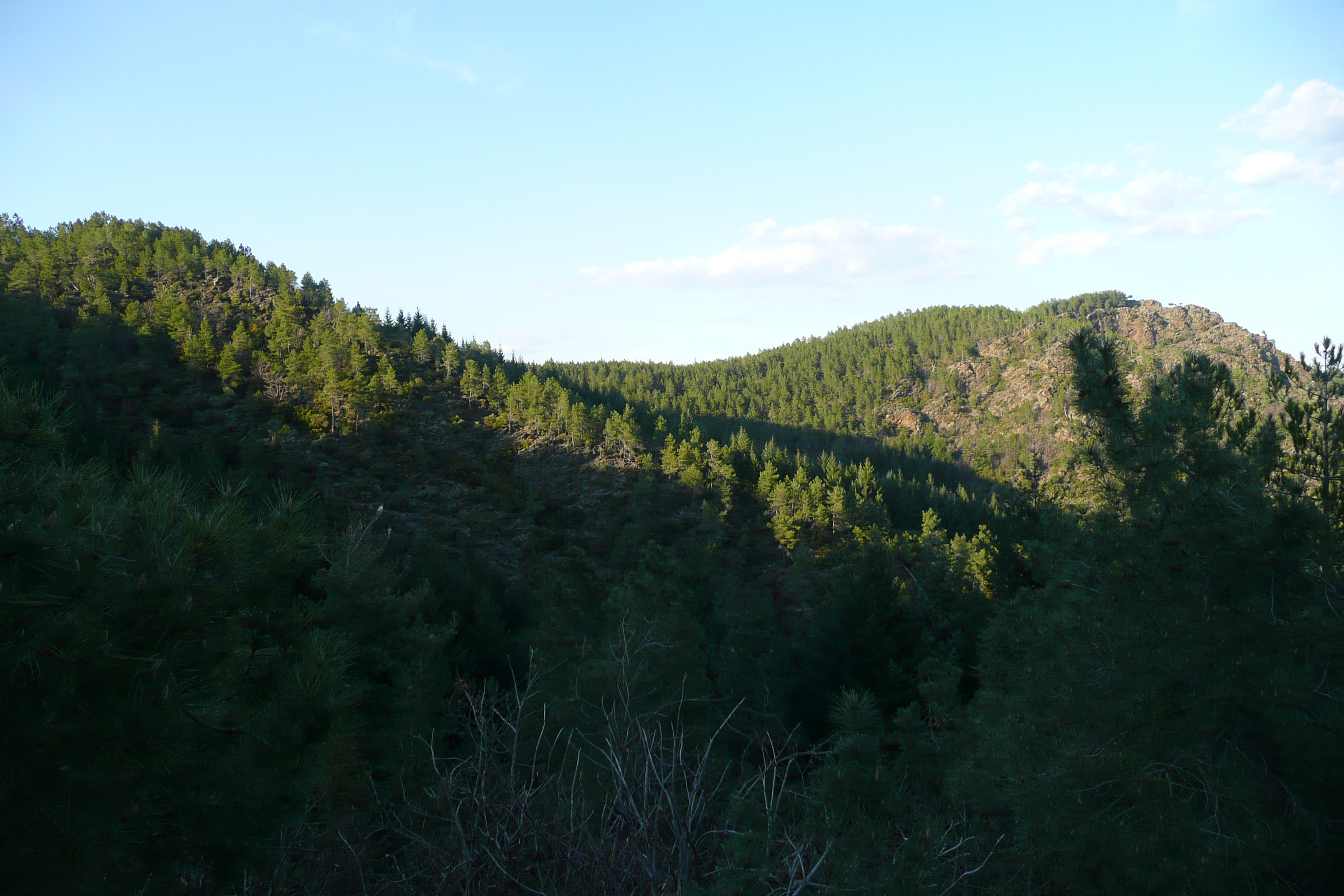 Picture France Cevennes Mountains 2008-04 93 - Around Cevennes Mountains