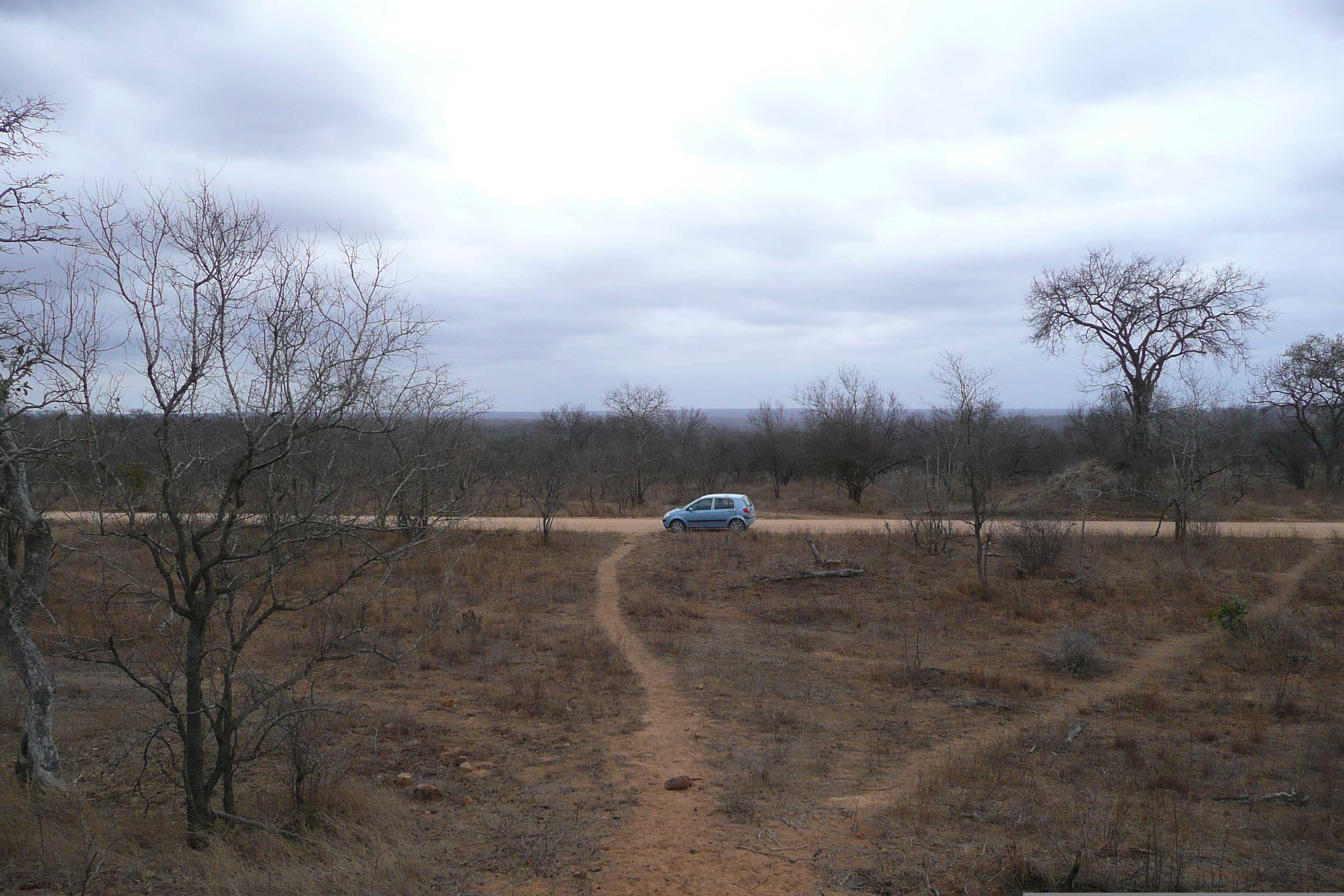 Picture South Africa Kruger National Park 2008-09 92 - Tour Kruger National Park