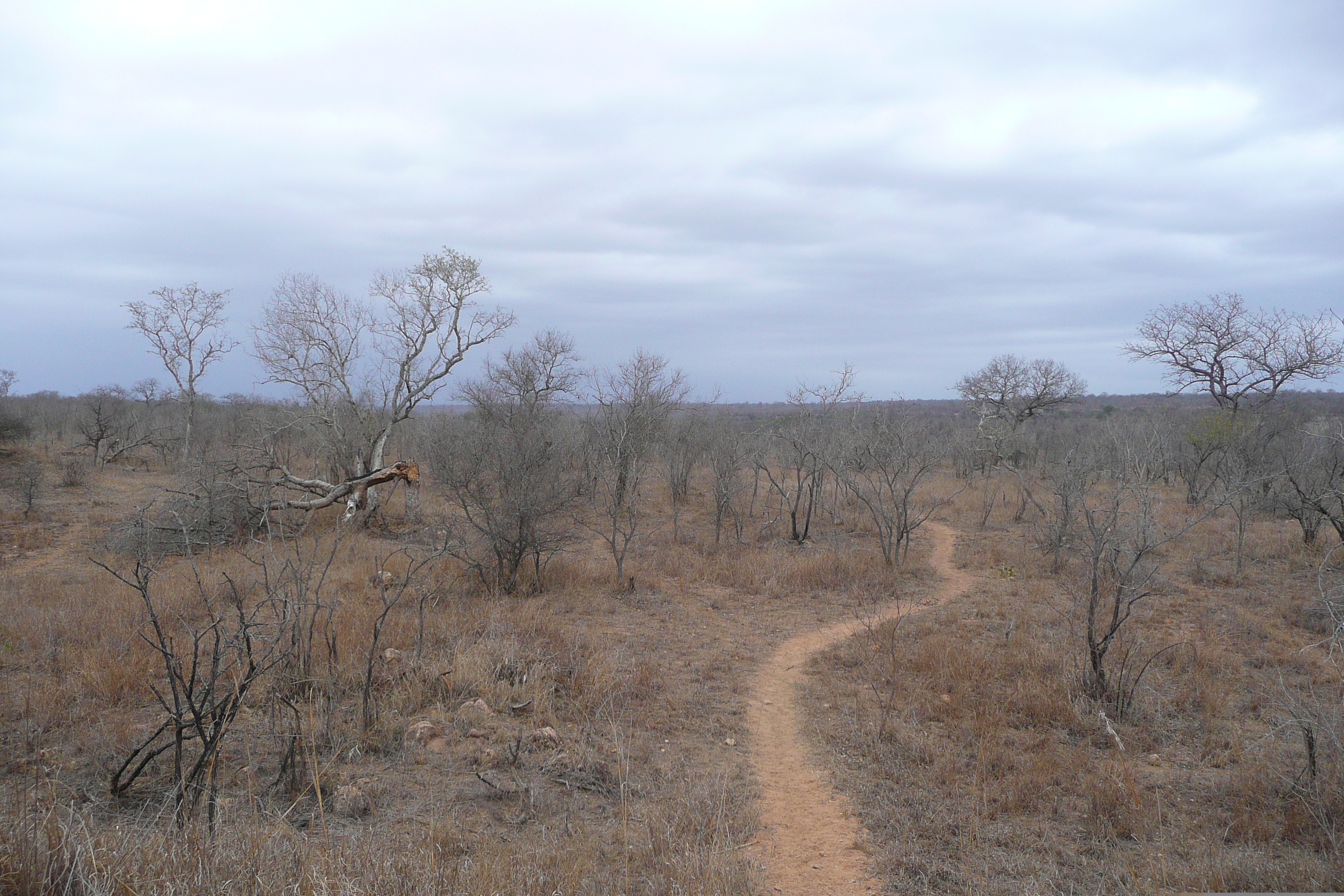 Picture South Africa Kruger National Park 2008-09 93 - Around Kruger National Park