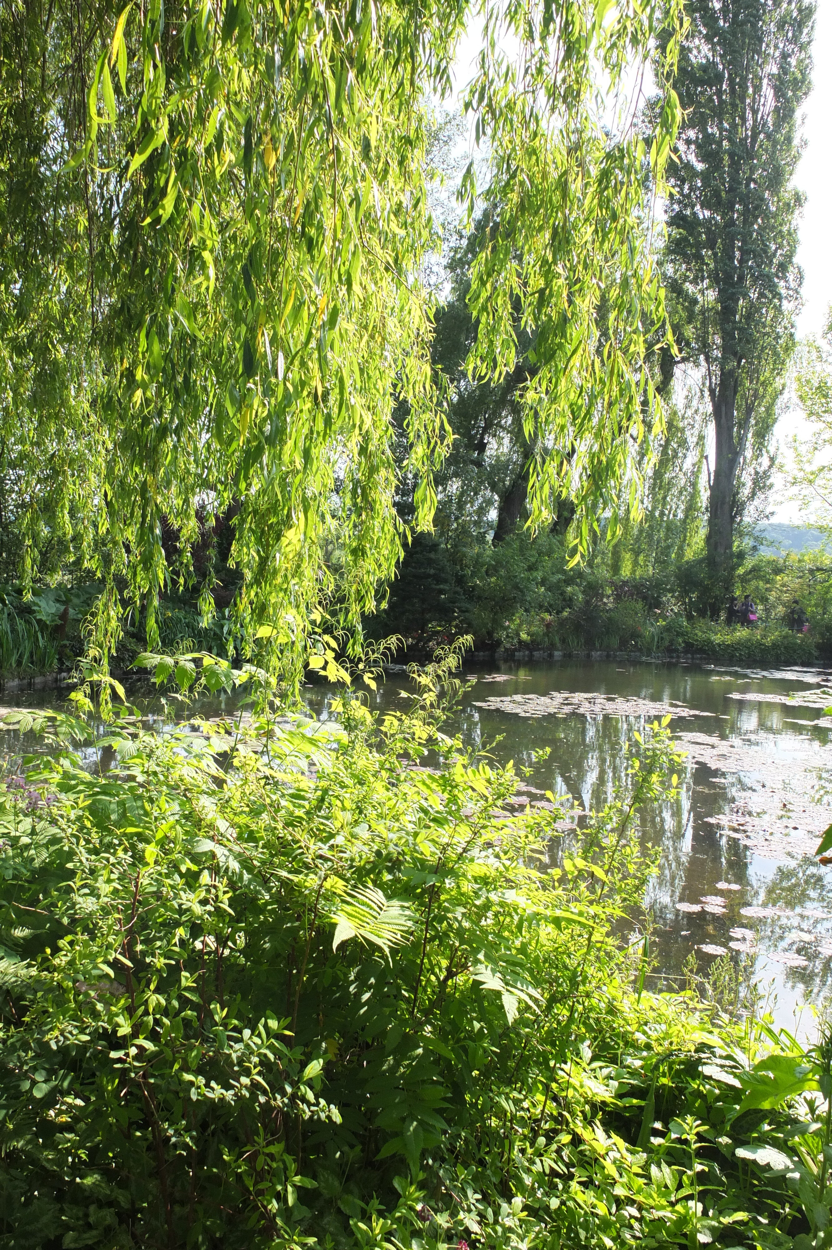 Picture France Giverny 2013-06 41 - Tours Giverny