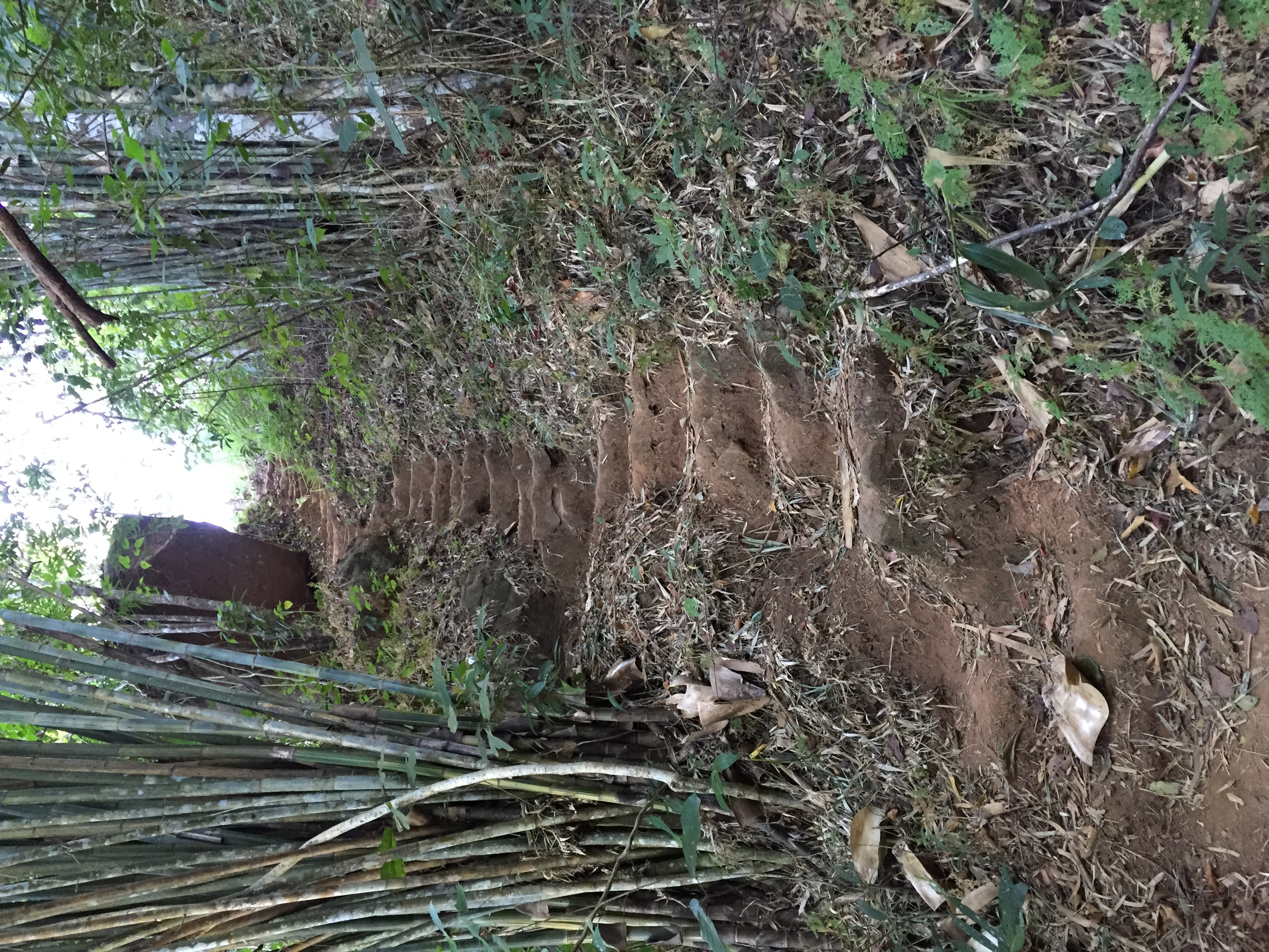 Picture Thailand Phu Hin Rong Kla National Park 2014-12 426 - History Phu Hin Rong Kla National Park