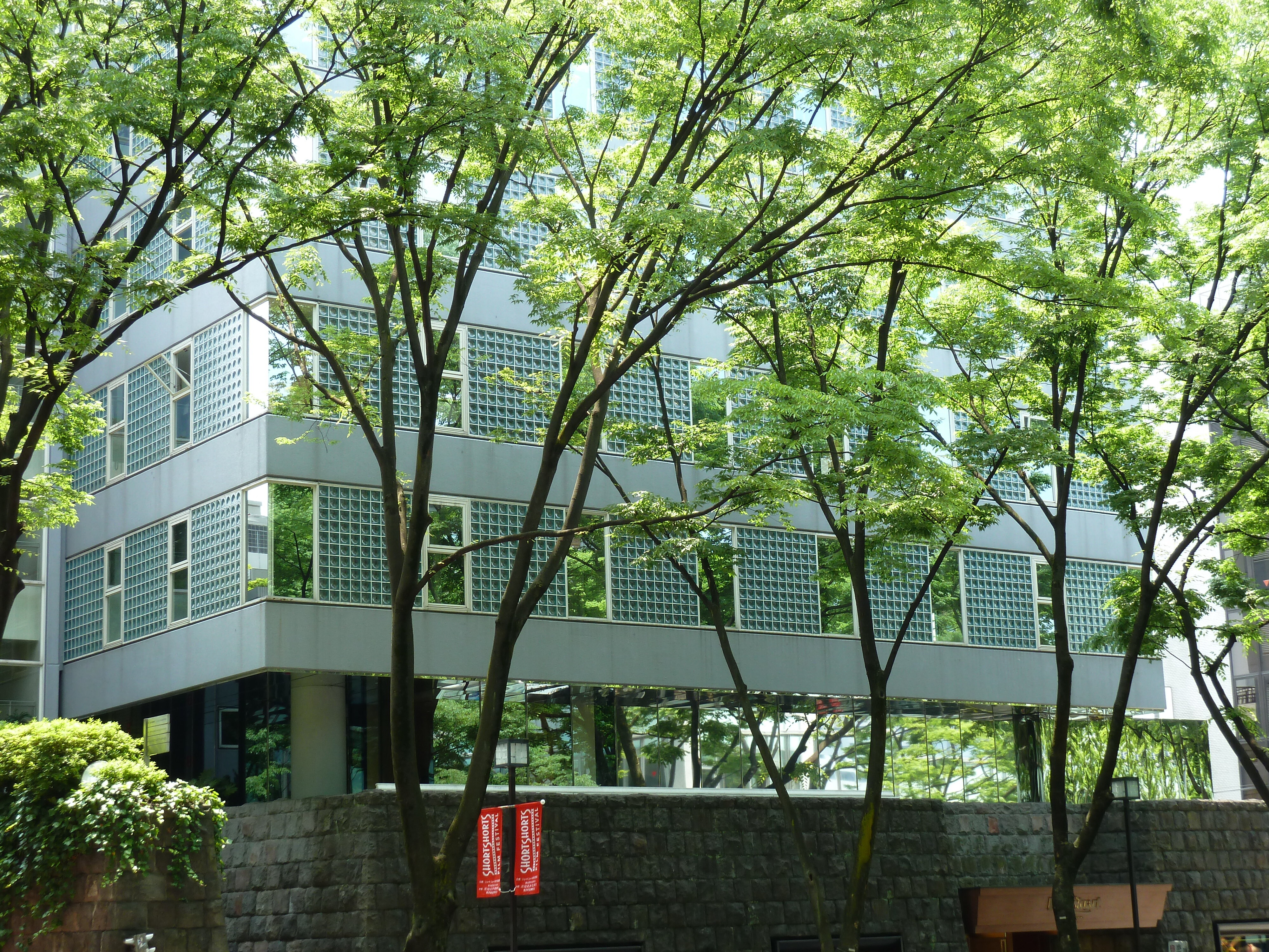 Picture Japan Tokyo Omotesando 2010-06 62 - Tours Omotesando