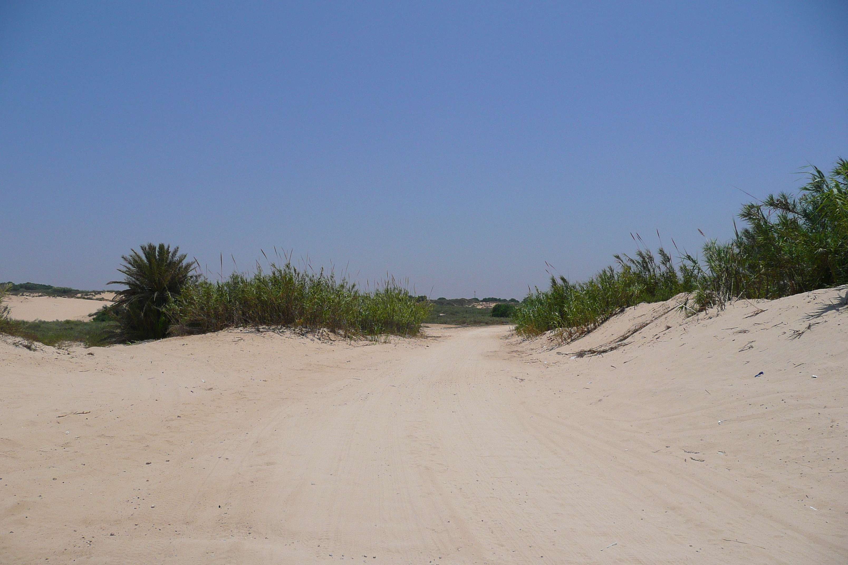 Picture Israel Nitzan 2007-06 21 - Around Nitzan