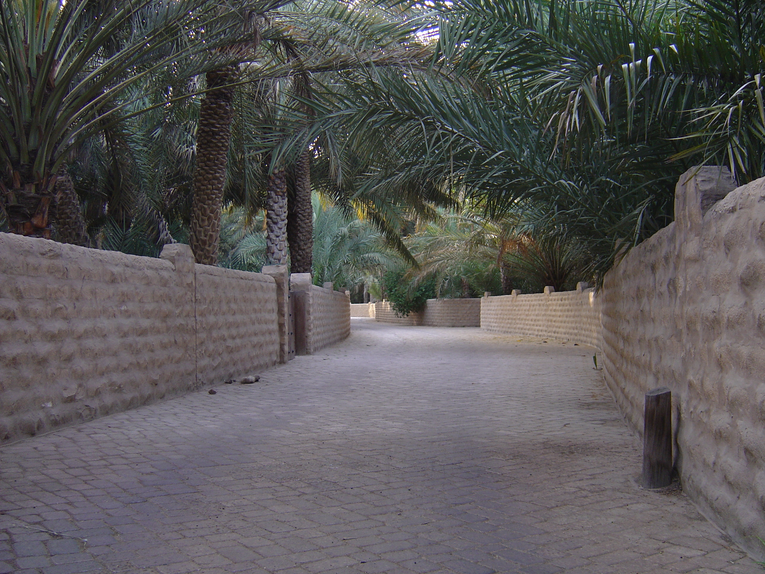 Picture United Arab Emirates Al Ain Al Ain Oasis 2005-03 0 - Around Al Ain Oasis