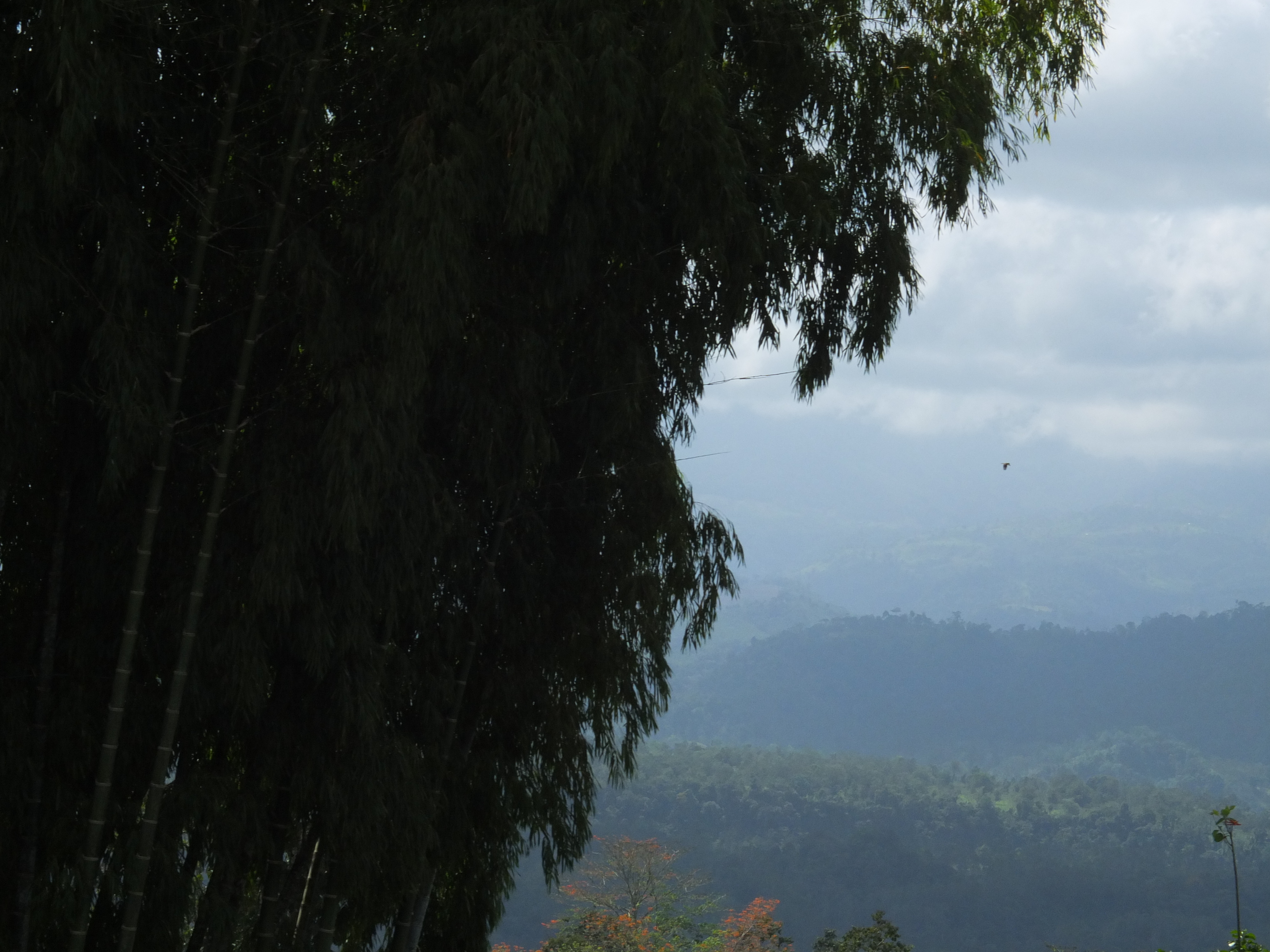 Picture Costa Rica Turrialba 2015-03 50 - Recreation Turrialba