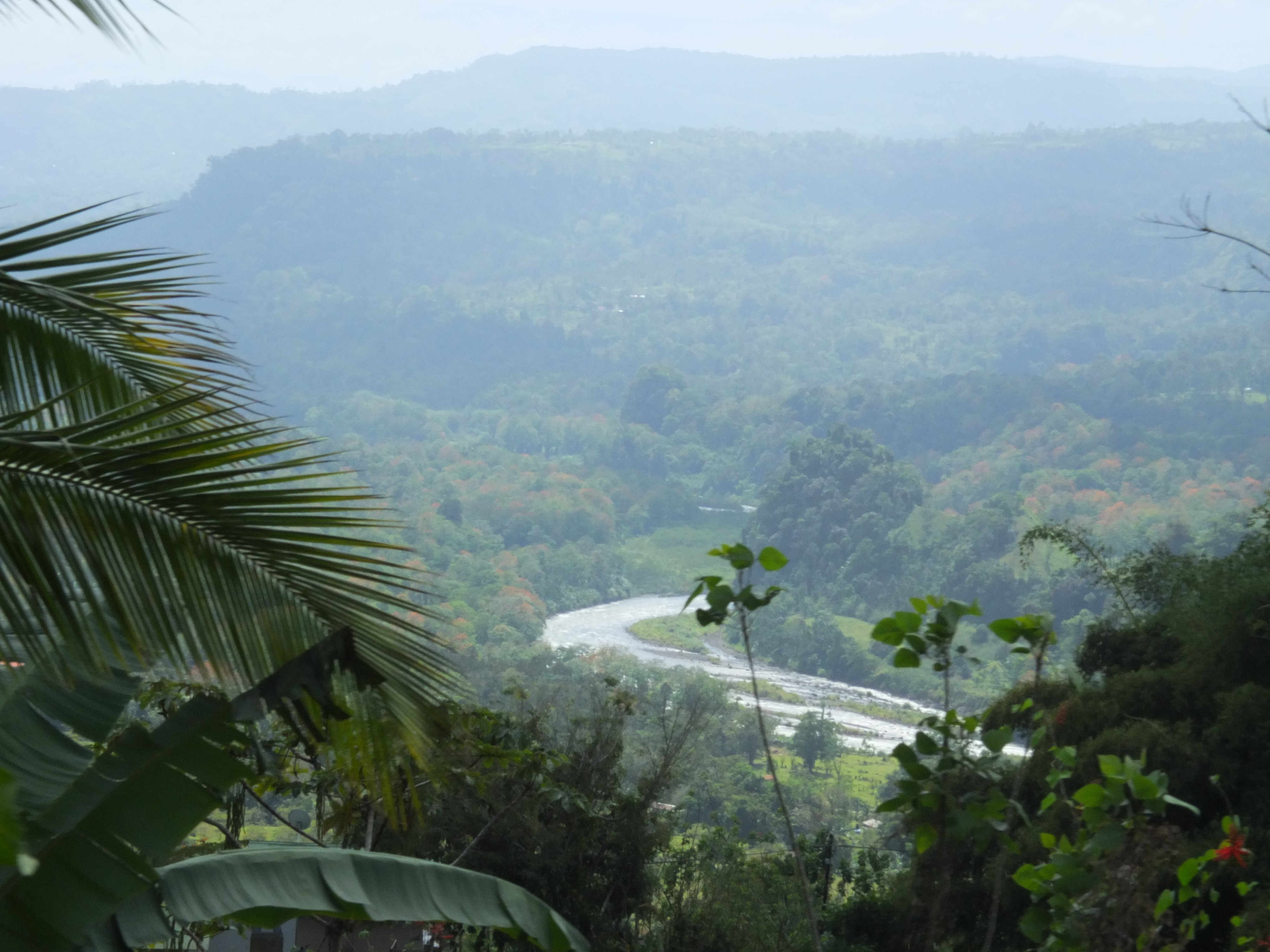 Picture Costa Rica Turrialba 2015-03 48 - Around Turrialba