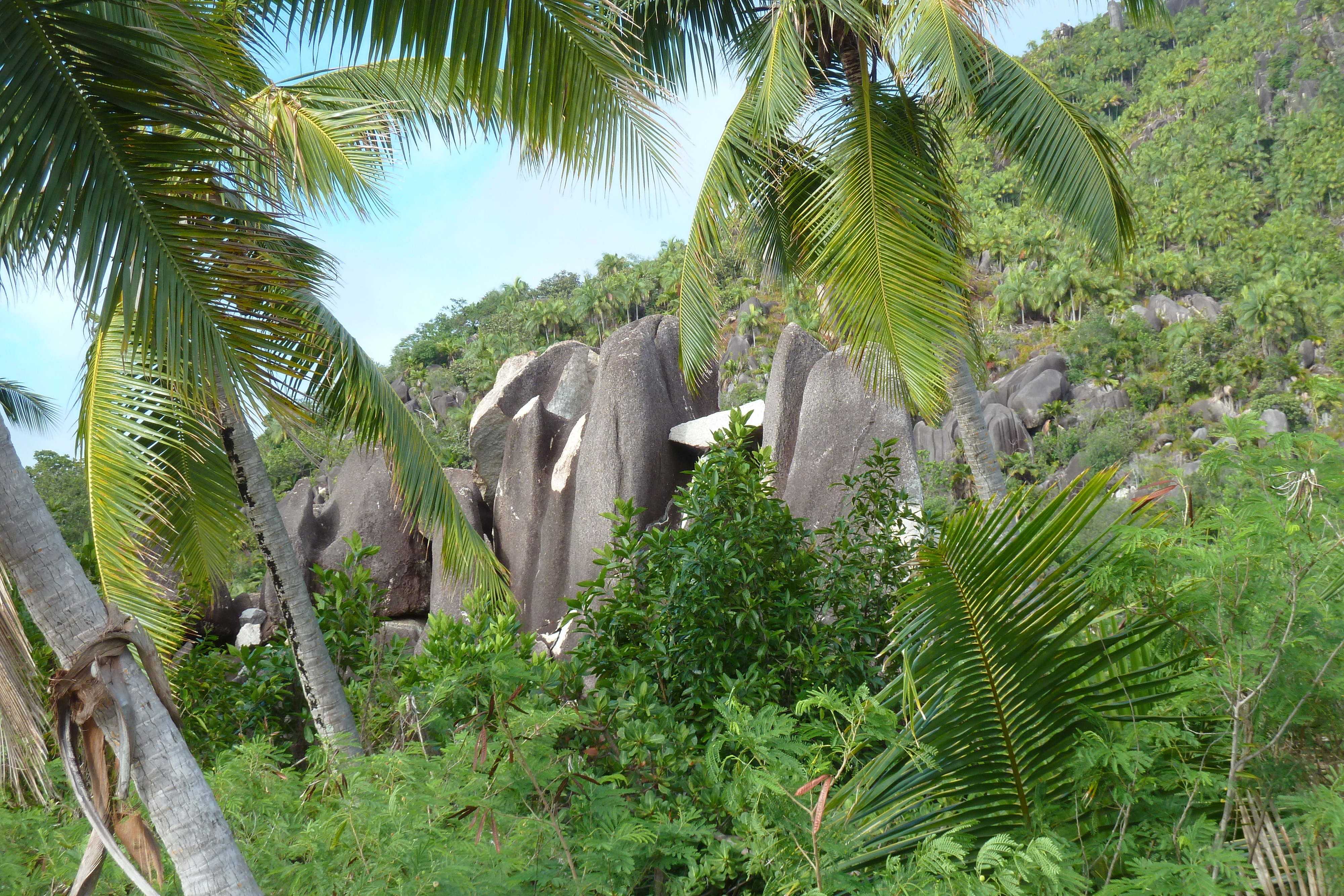 Picture Seychelles 2011-10 16 - Tour Seychelles