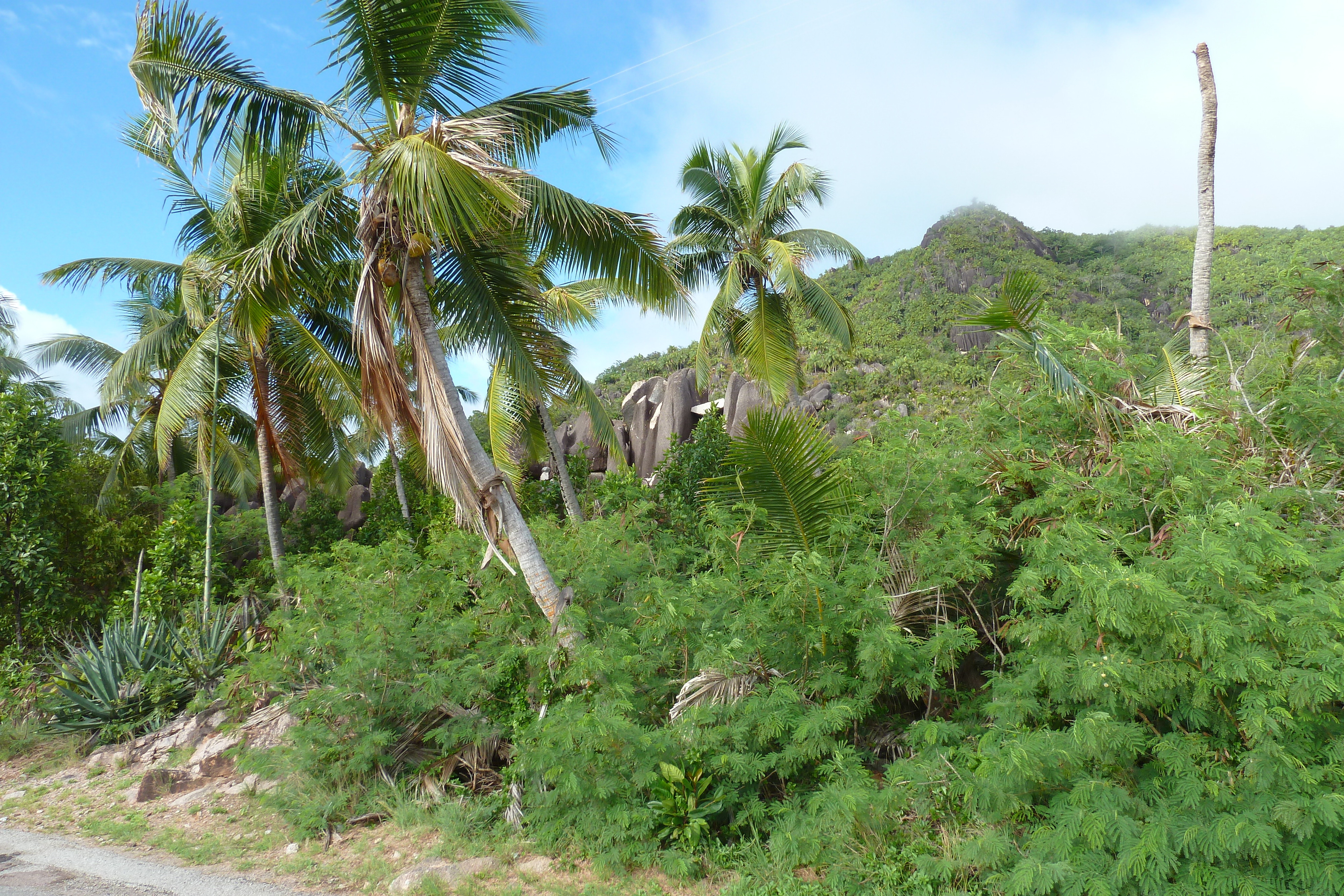 Picture Seychelles Praslin 2011-10 14 - Discovery Praslin