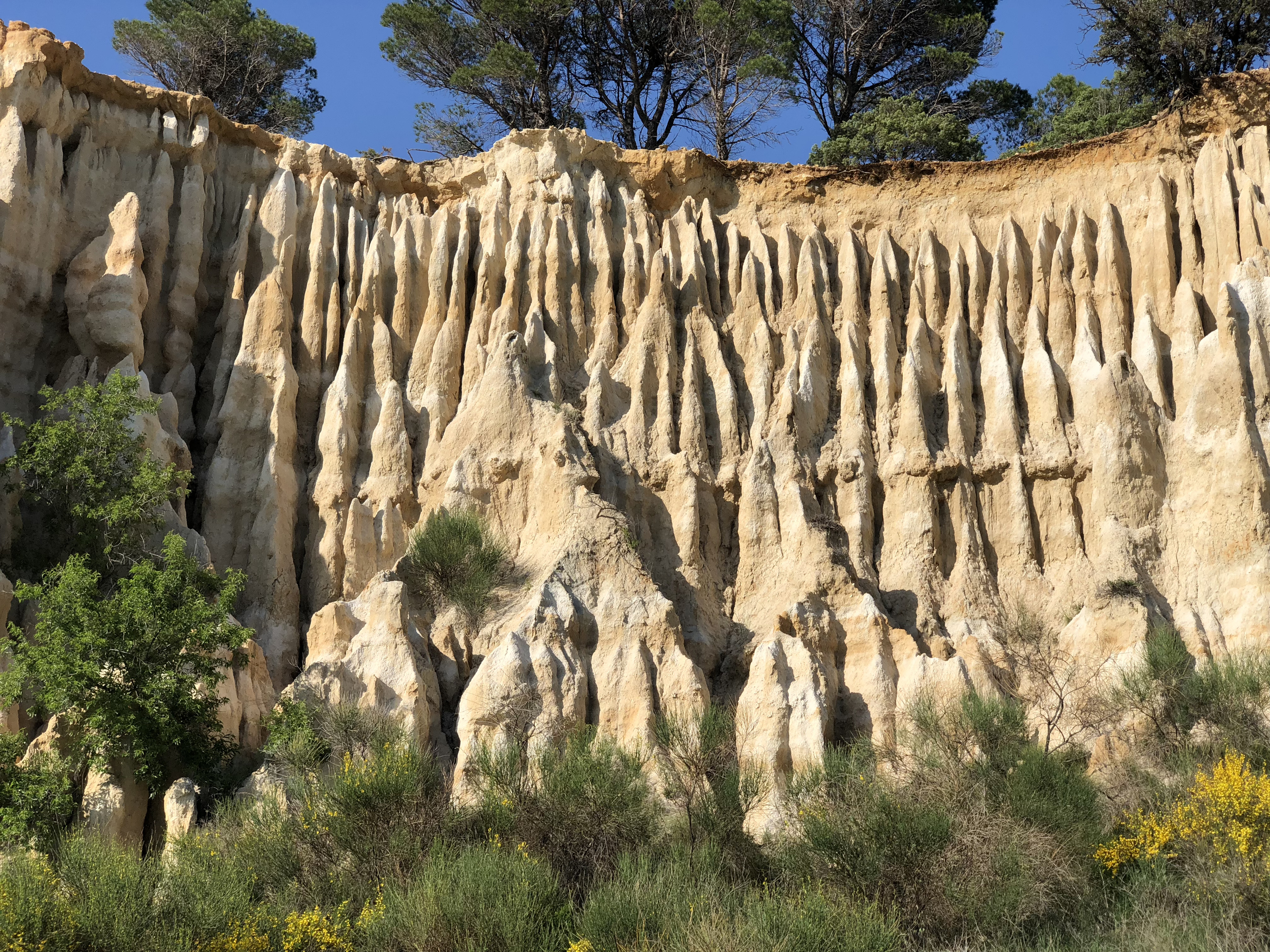 Picture France Orgues d'Ille Sur Tet 2018-04 14 - Discovery Orgues d'Ille Sur Tet