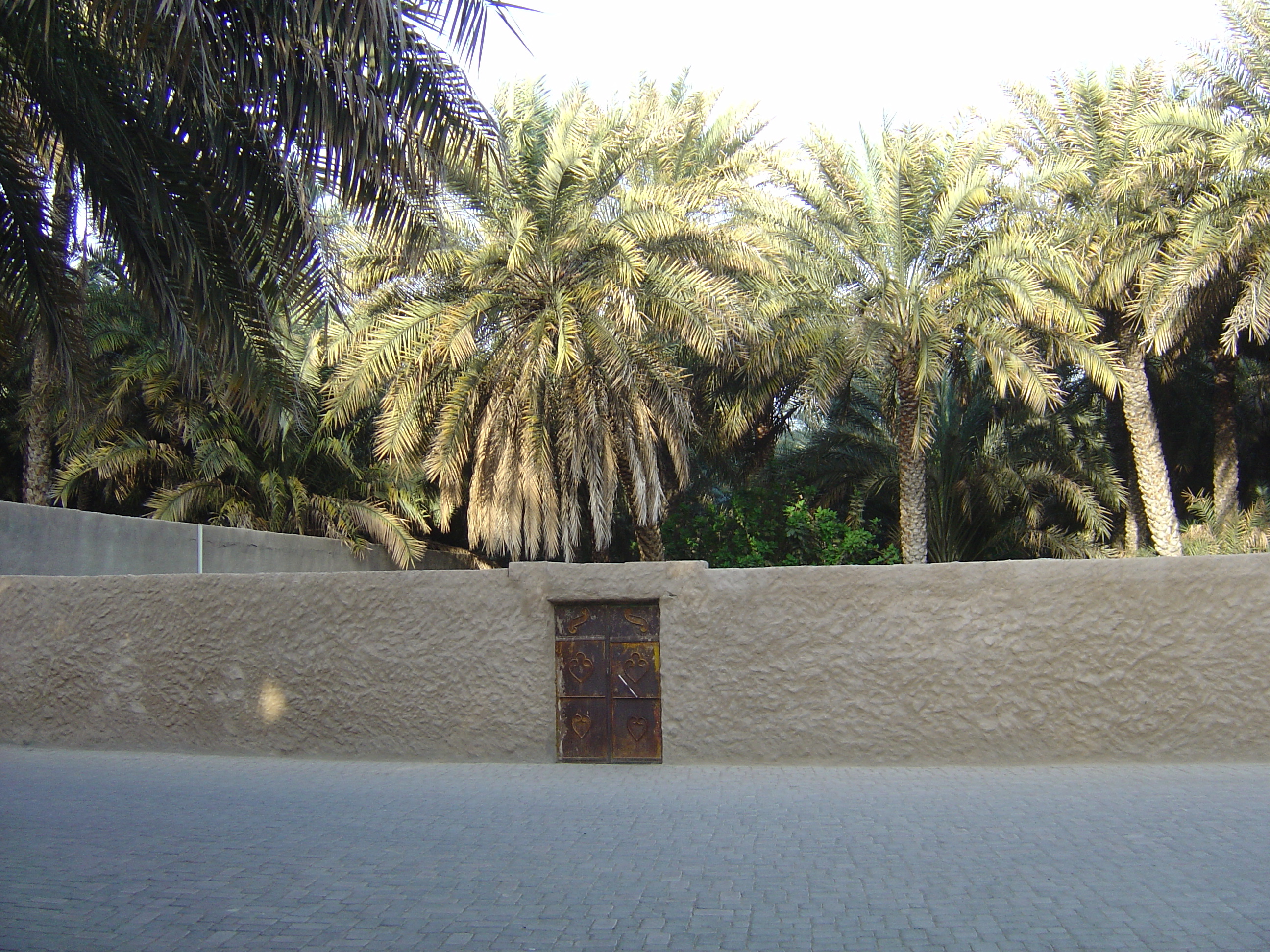 Picture United Arab Emirates Al Ain Al Ain Oasis 2005-03 29 - Recreation Al Ain Oasis