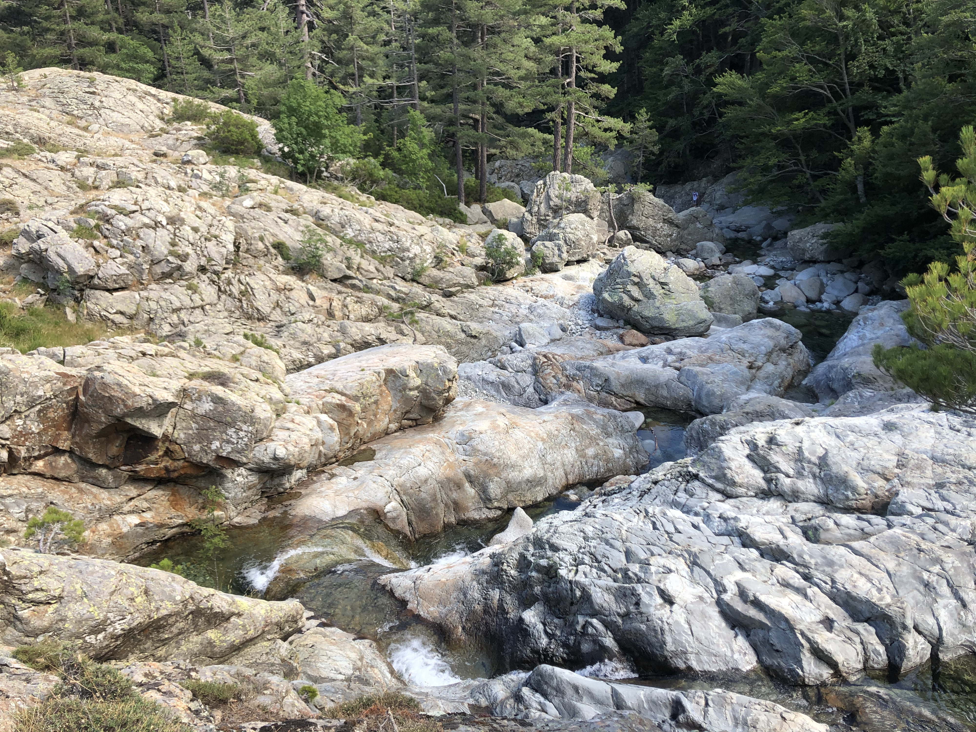 Picture France Corsica Cascade des Anglais 2020-07 38 - Center Cascade des Anglais