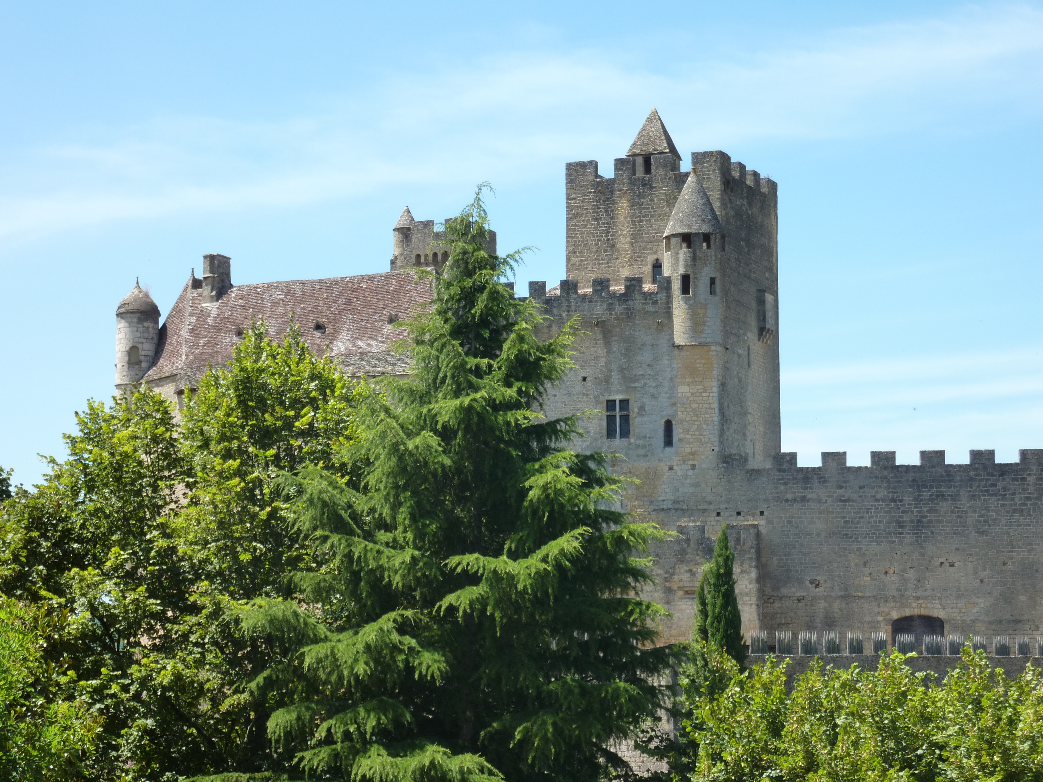 Picture France Beynac Castle 2009-07 67 - Center Beynac Castle