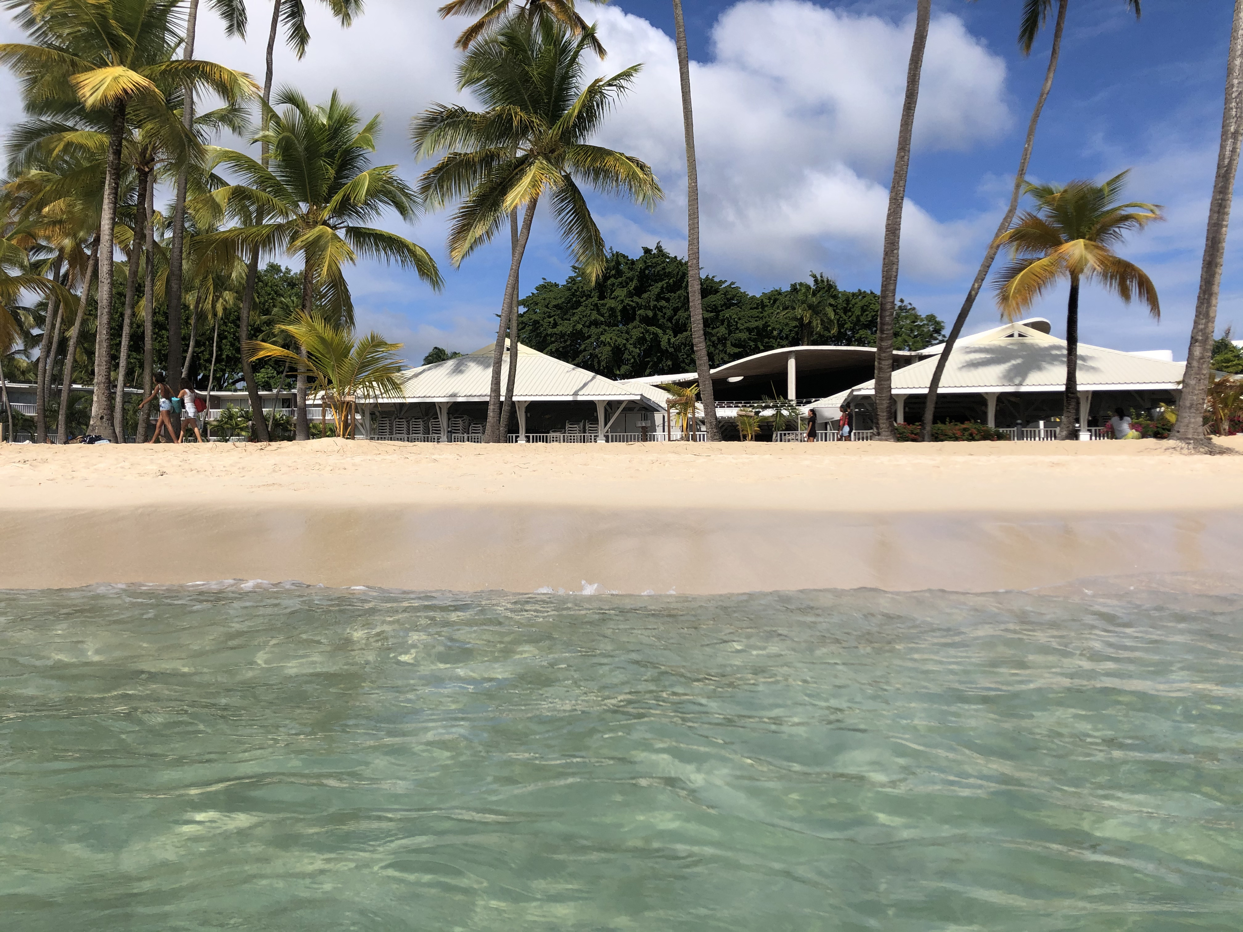 Picture Guadeloupe La Caravelle Beach 2021-02 150 - Around La Caravelle Beach