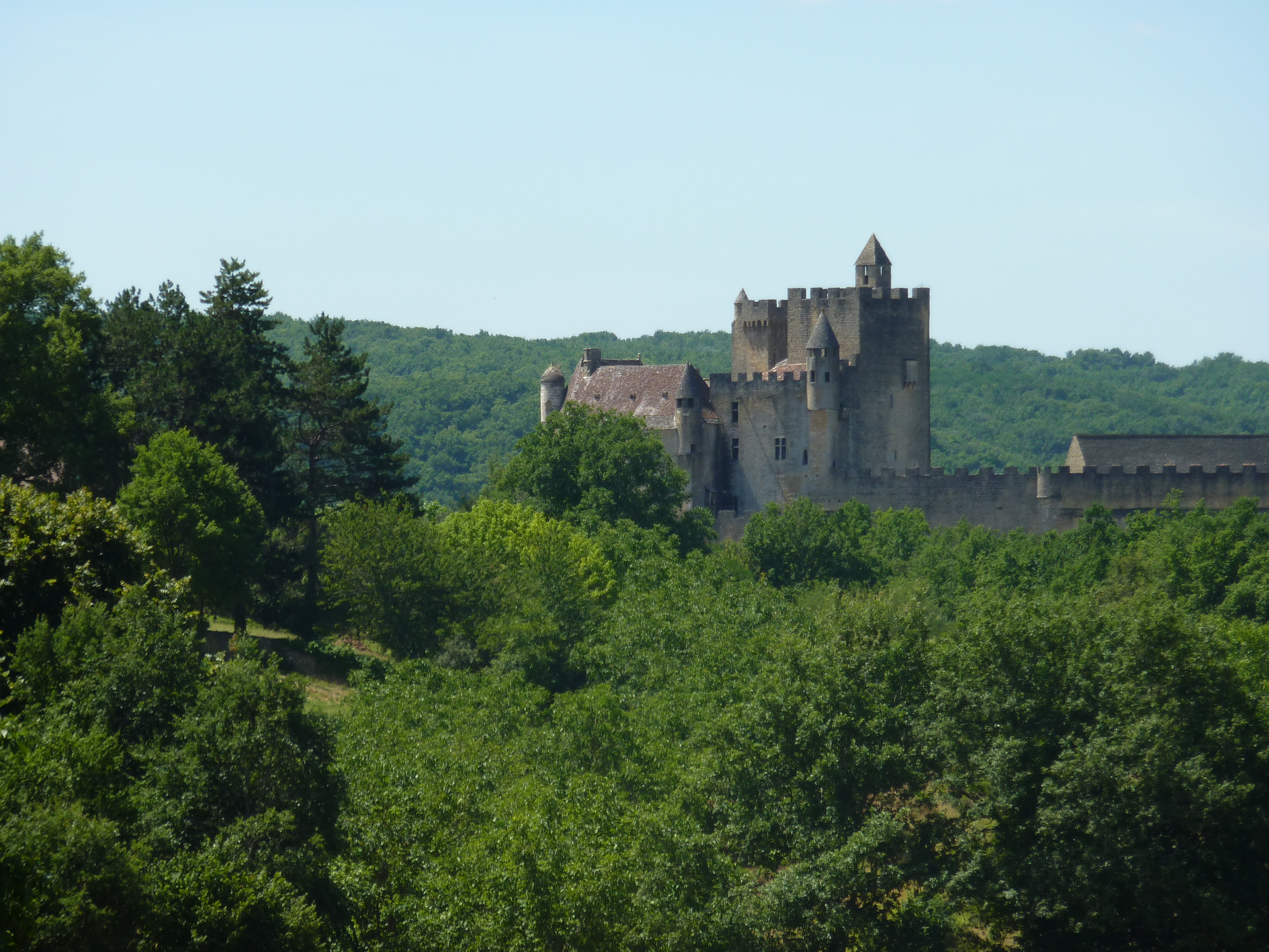 Picture France Beynac Castle 2009-07 53 - Journey Beynac Castle