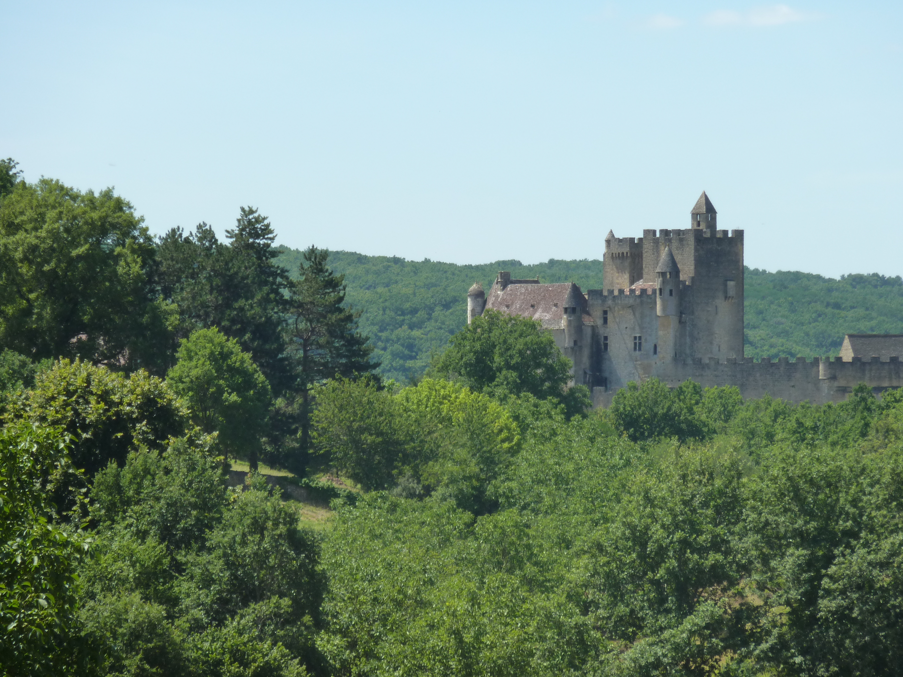 Picture France Beynac Castle 2009-07 28 - Recreation Beynac Castle