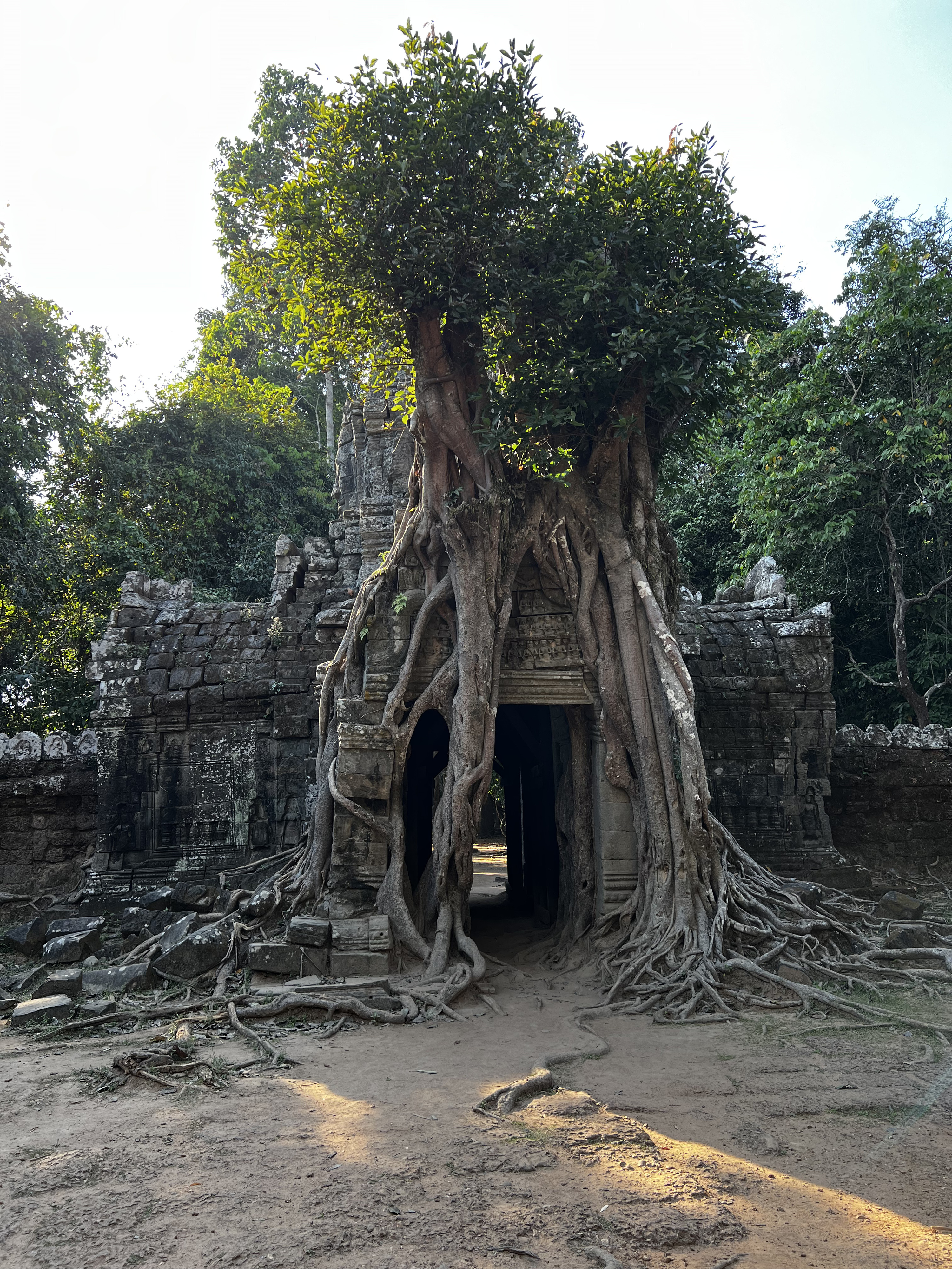 Picture Cambodia Siem Reap Ta Som 2023-01 23 - Journey Ta Som