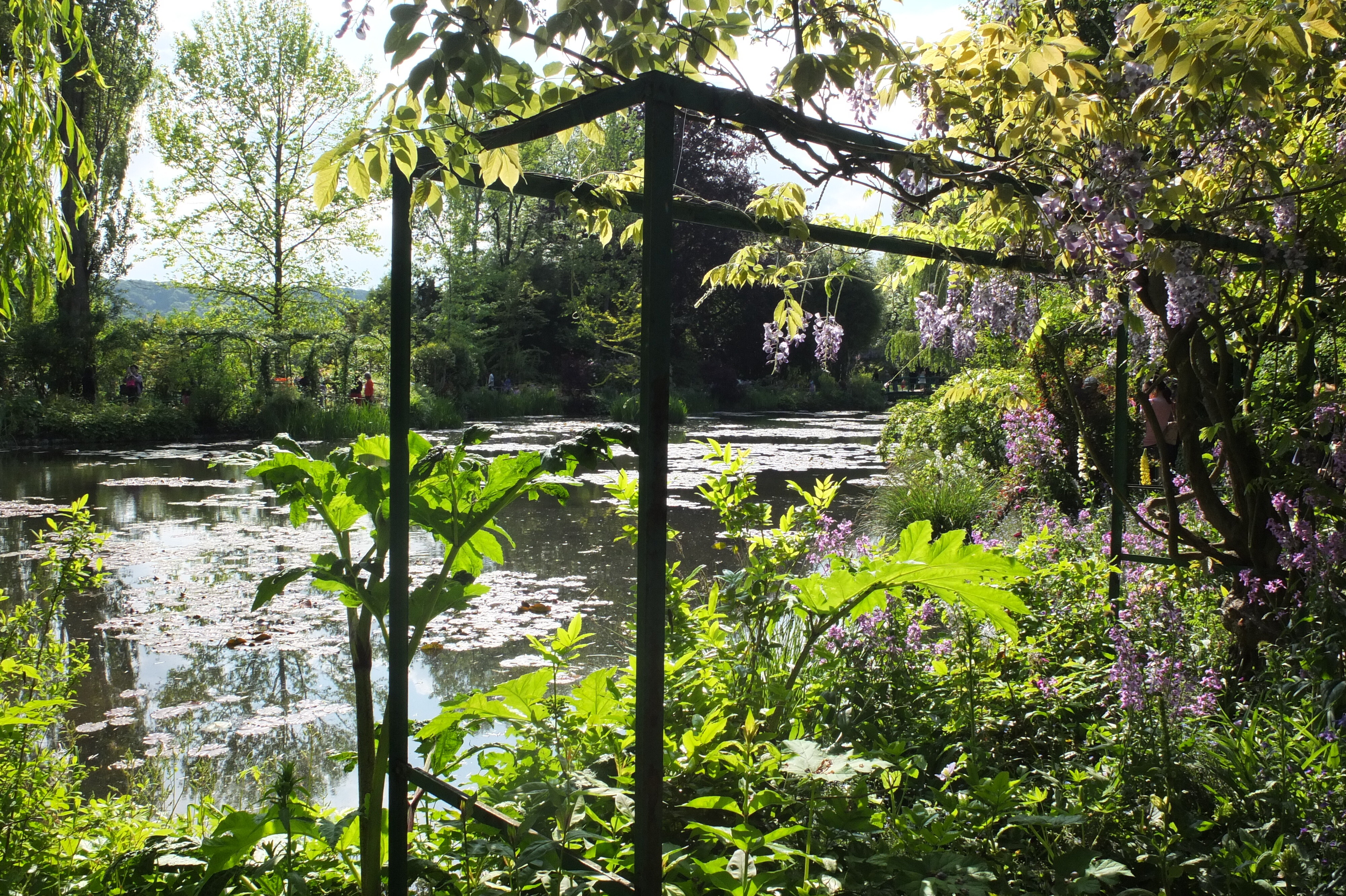 Picture France Giverny 2013-06 56 - Recreation Giverny