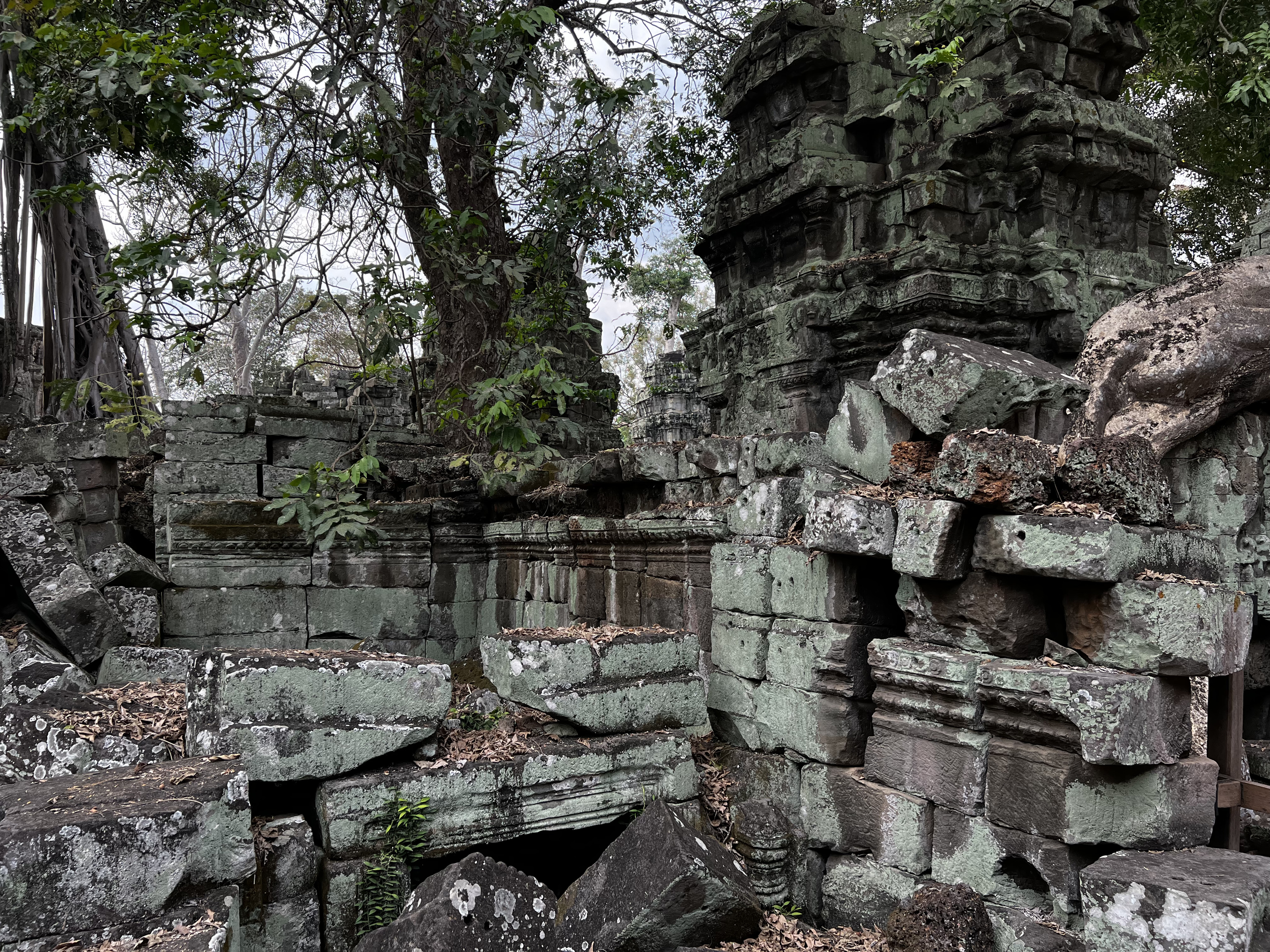 Picture Cambodia Siem Reap Ta Prohm 2023-01 121 - Journey Ta Prohm