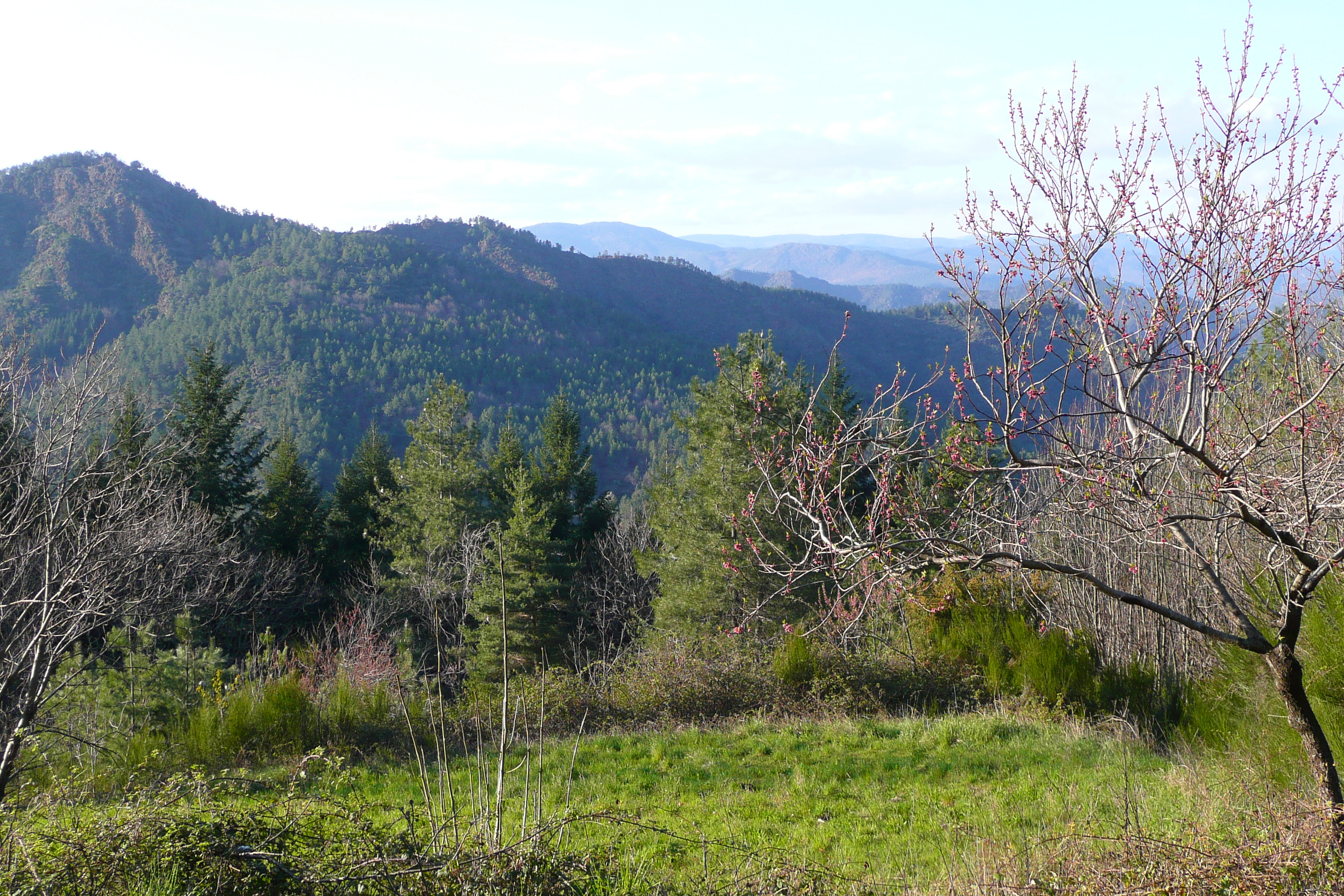 Picture France Cevennes Mountains 2008-04 94 - Tours Cevennes Mountains