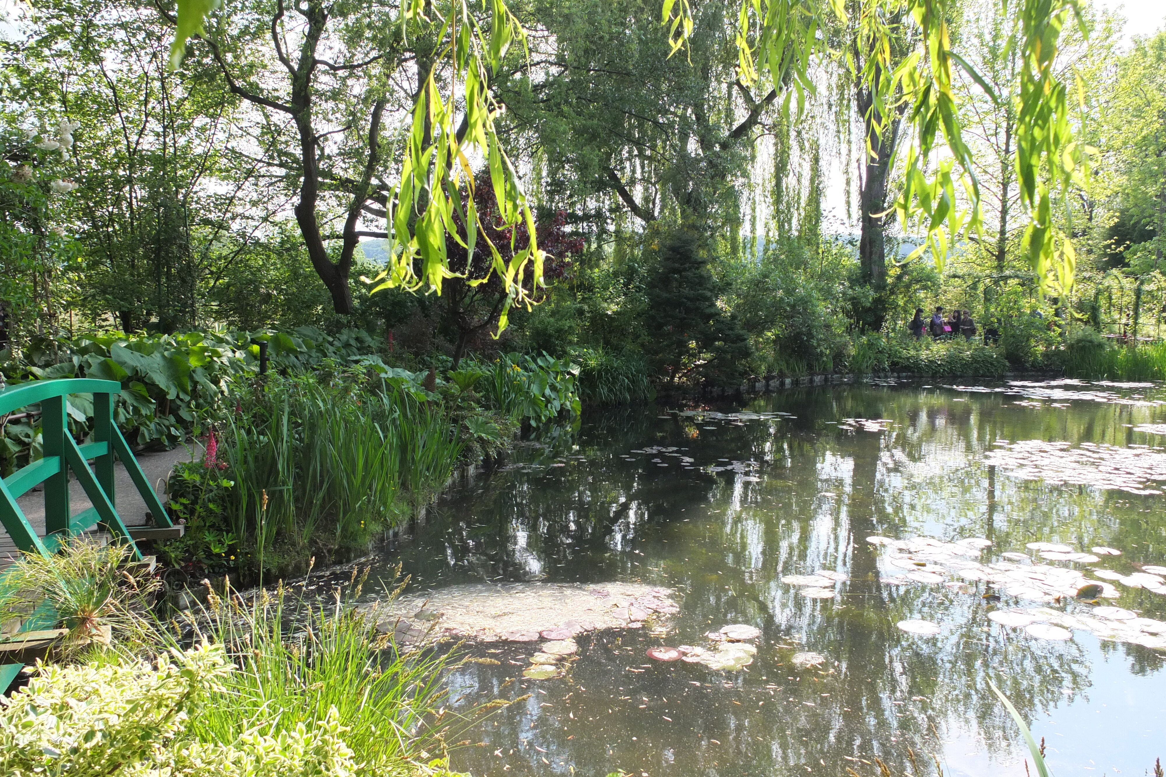 Picture France Giverny 2013-06 93 - Tours Giverny