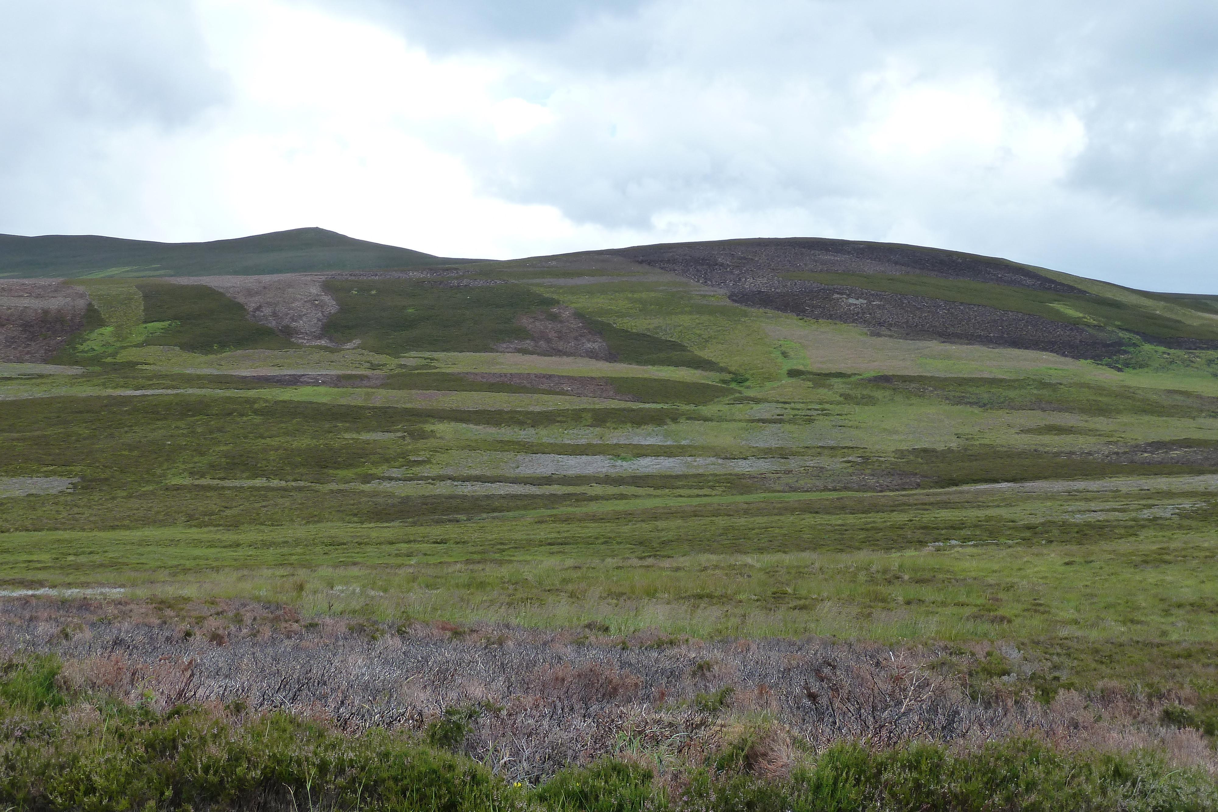 Picture United Kingdom Cairngorms National Park 2011-07 36 - Around Cairngorms National Park