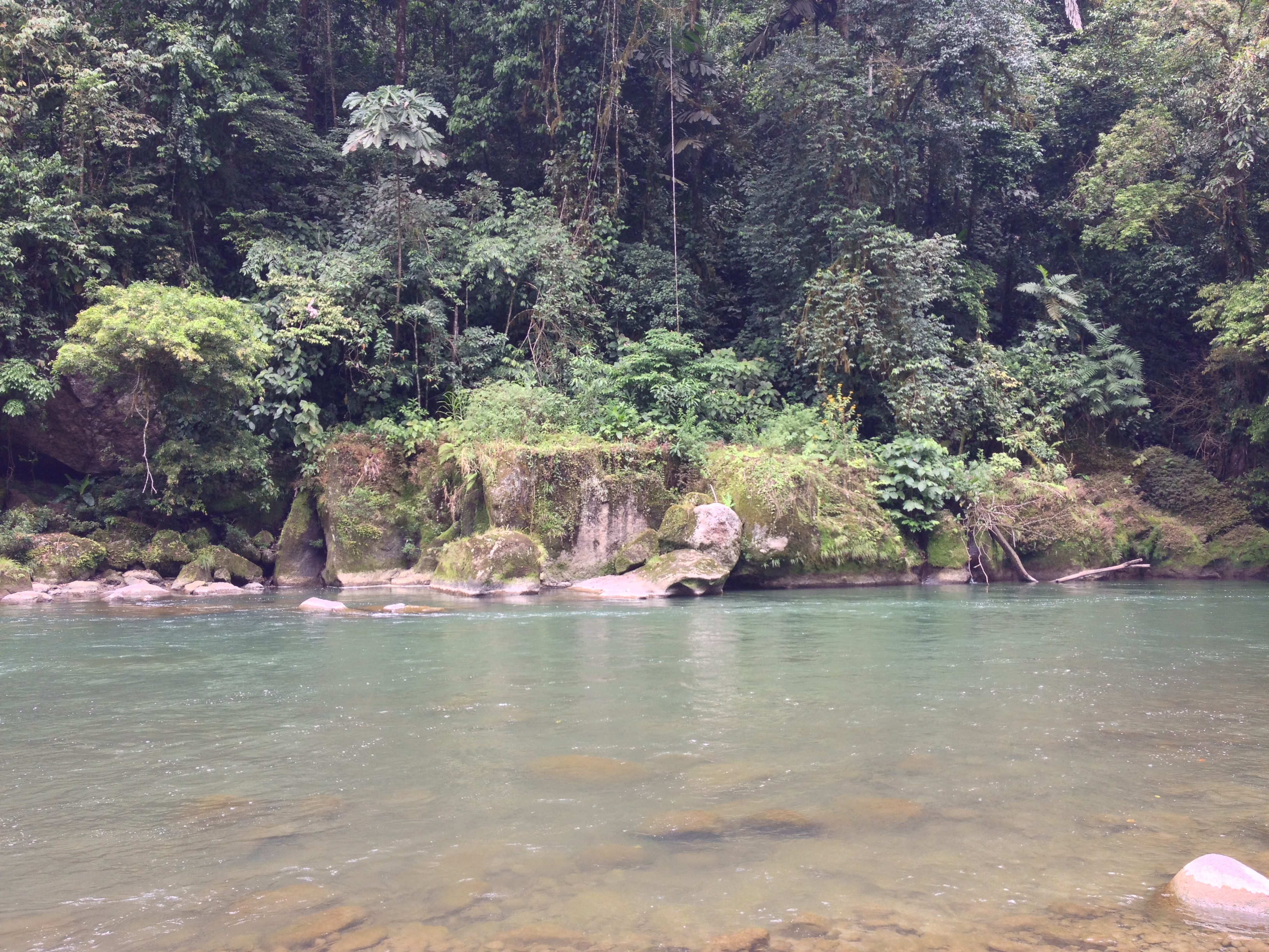 Picture Costa Rica Pacuare River 2015-03 4 - Around Pacuare River