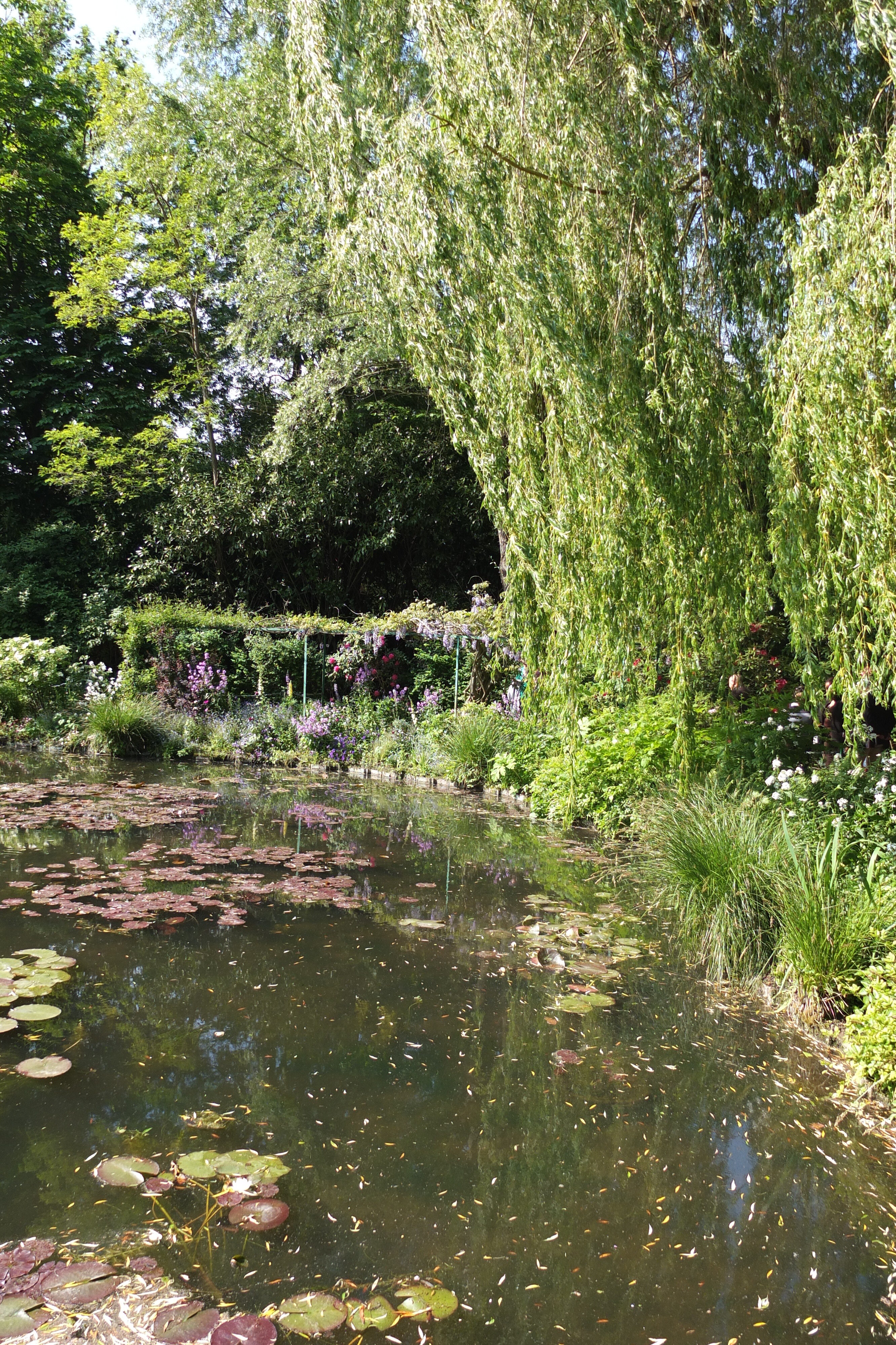 Picture France Giverny 2013-06 102 - Recreation Giverny