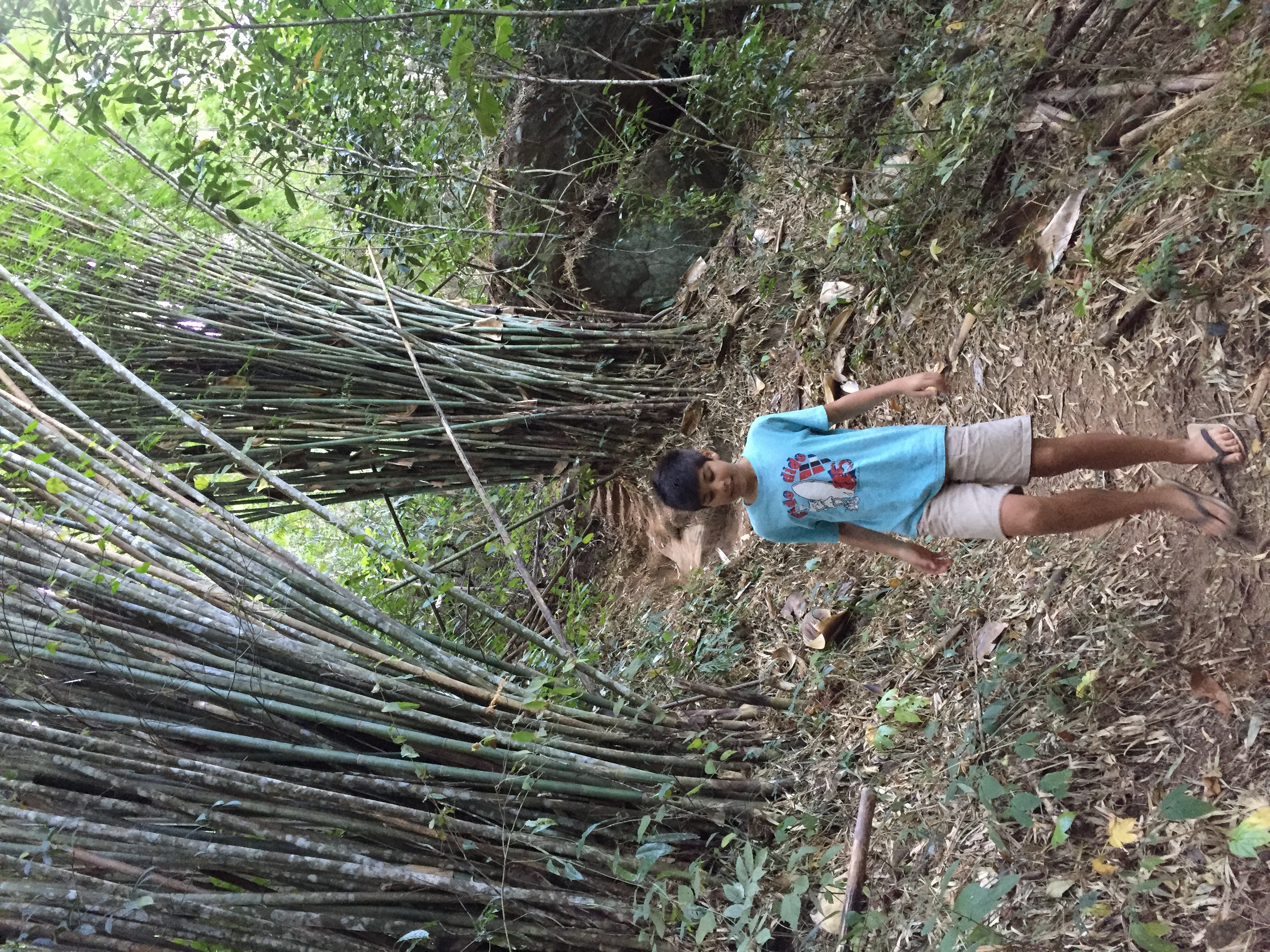 Picture Thailand Phu Hin Rong Kla National Park 2014-12 79 - Discovery Phu Hin Rong Kla National Park