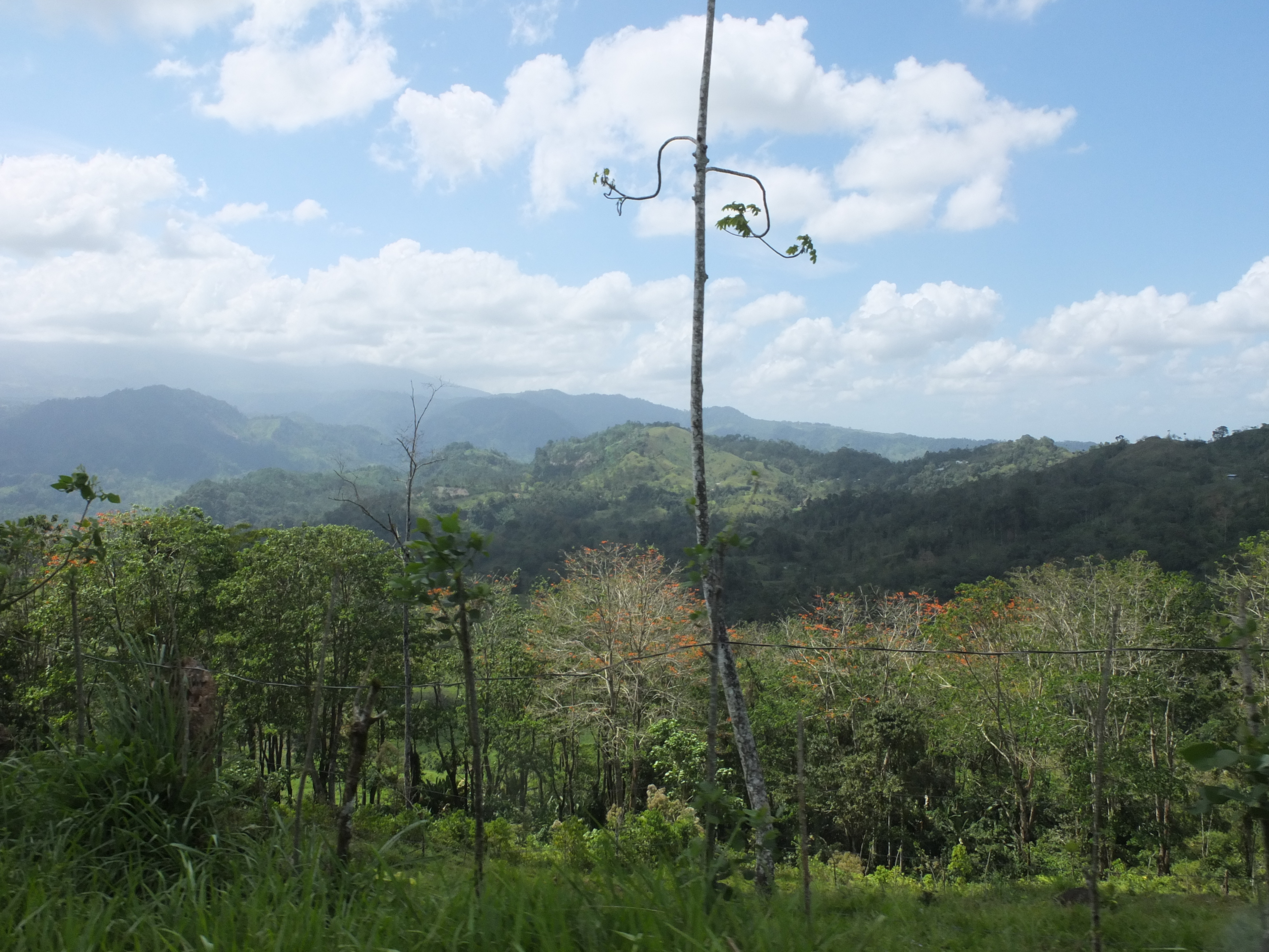 Picture Costa Rica Turrialba 2015-03 86 - Journey Turrialba