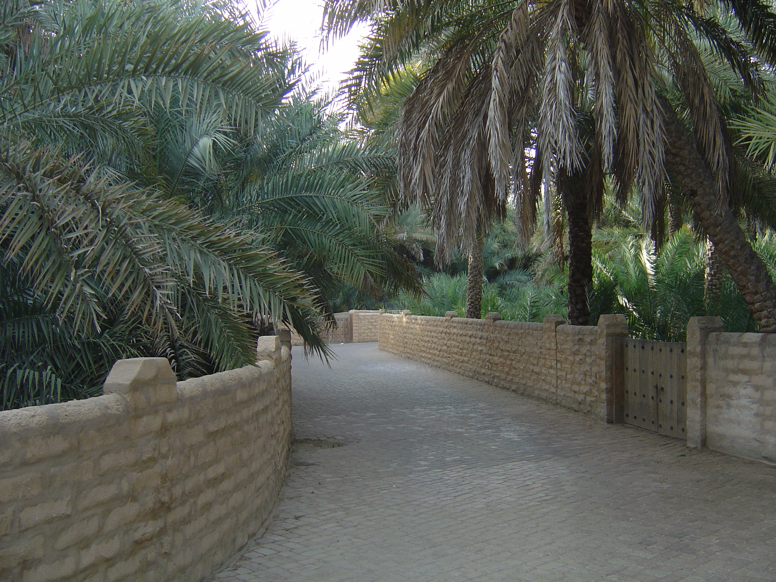 Picture United Arab Emirates Al Ain Al Ain Oasis 2005-03 3 - Tour Al Ain Oasis