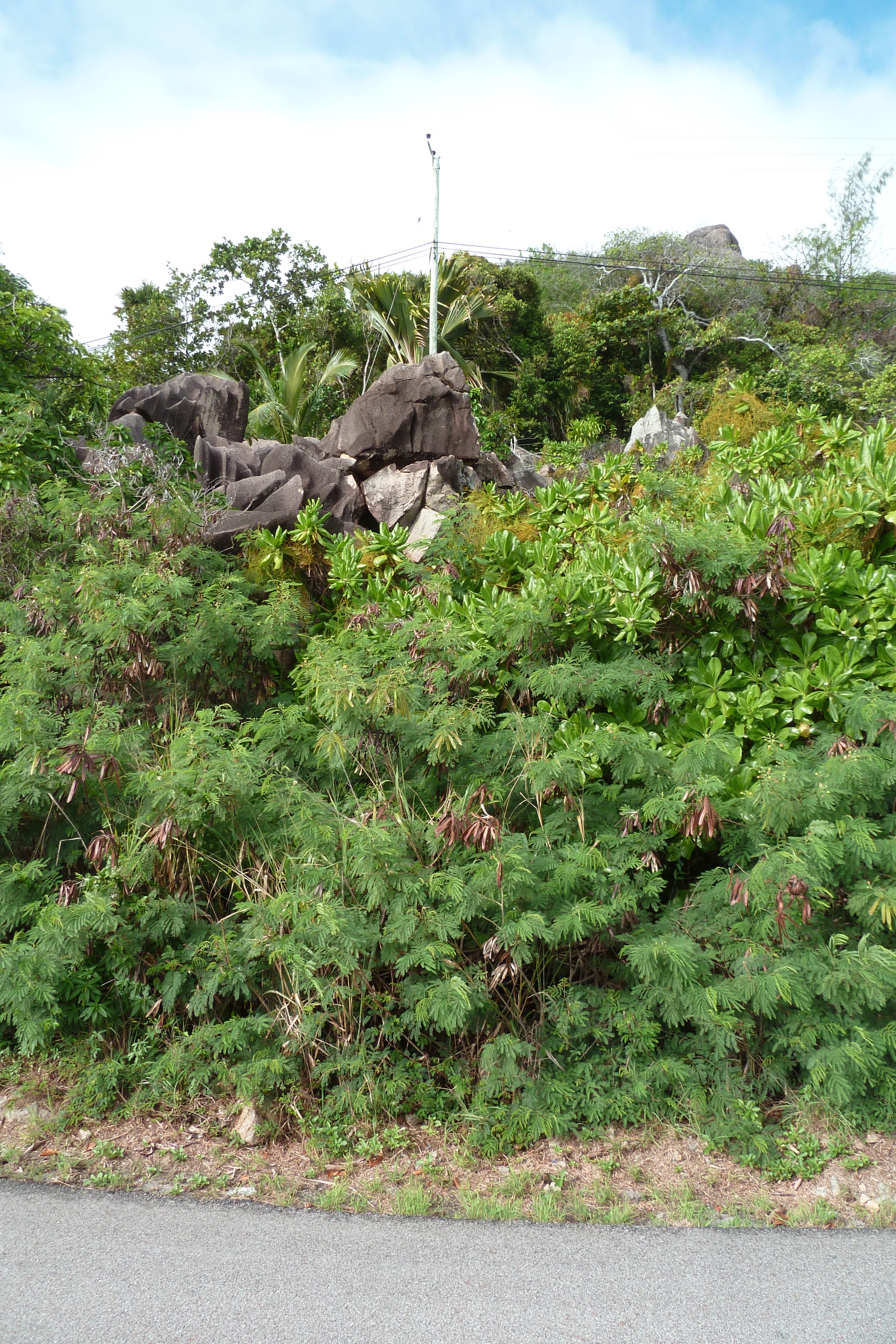 Picture Seychelles Praslin 2011-10 13 - Tour Praslin