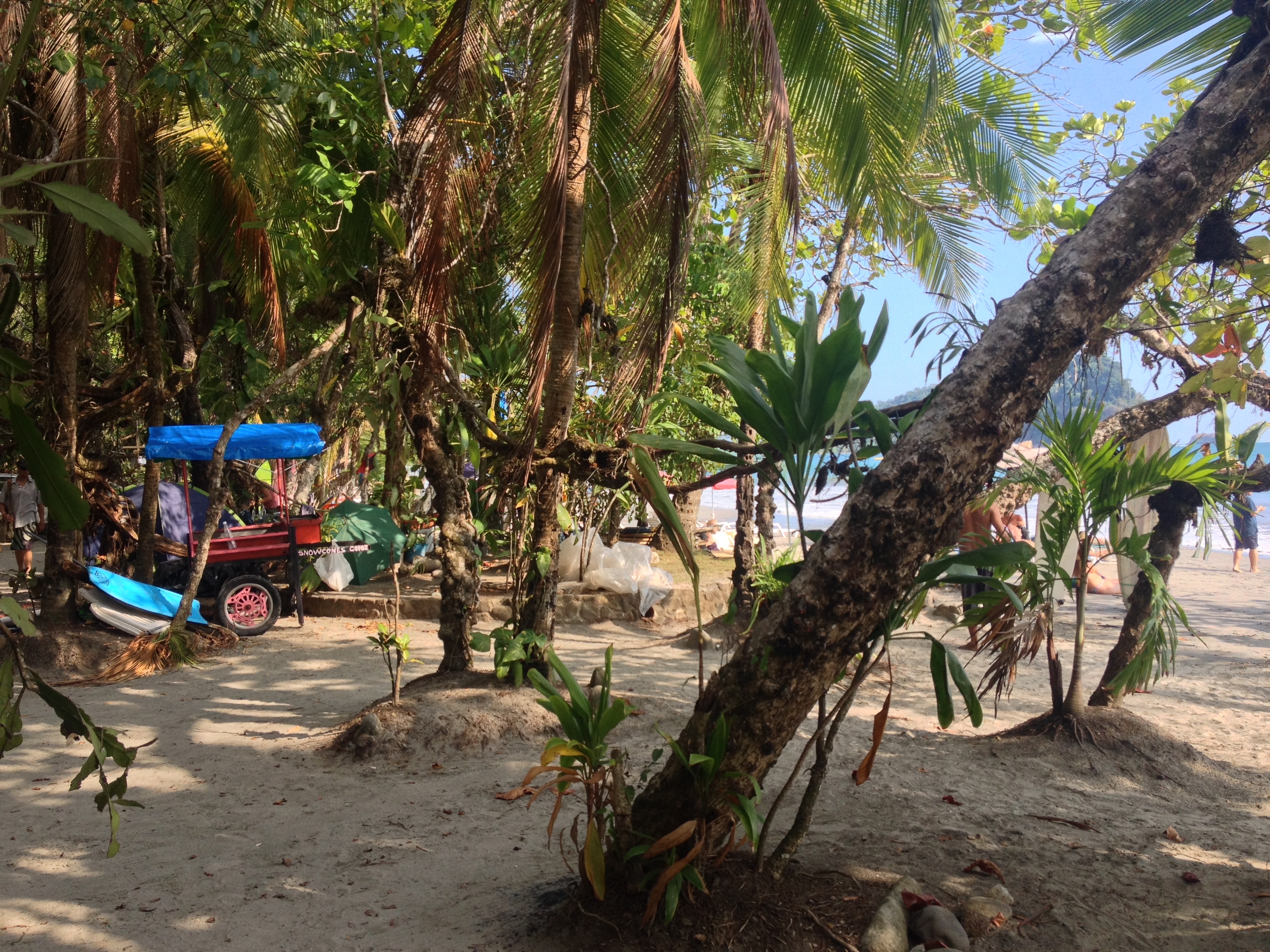 Picture Costa Rica Manuel Antonio 2015-03 359 - Tours Manuel Antonio