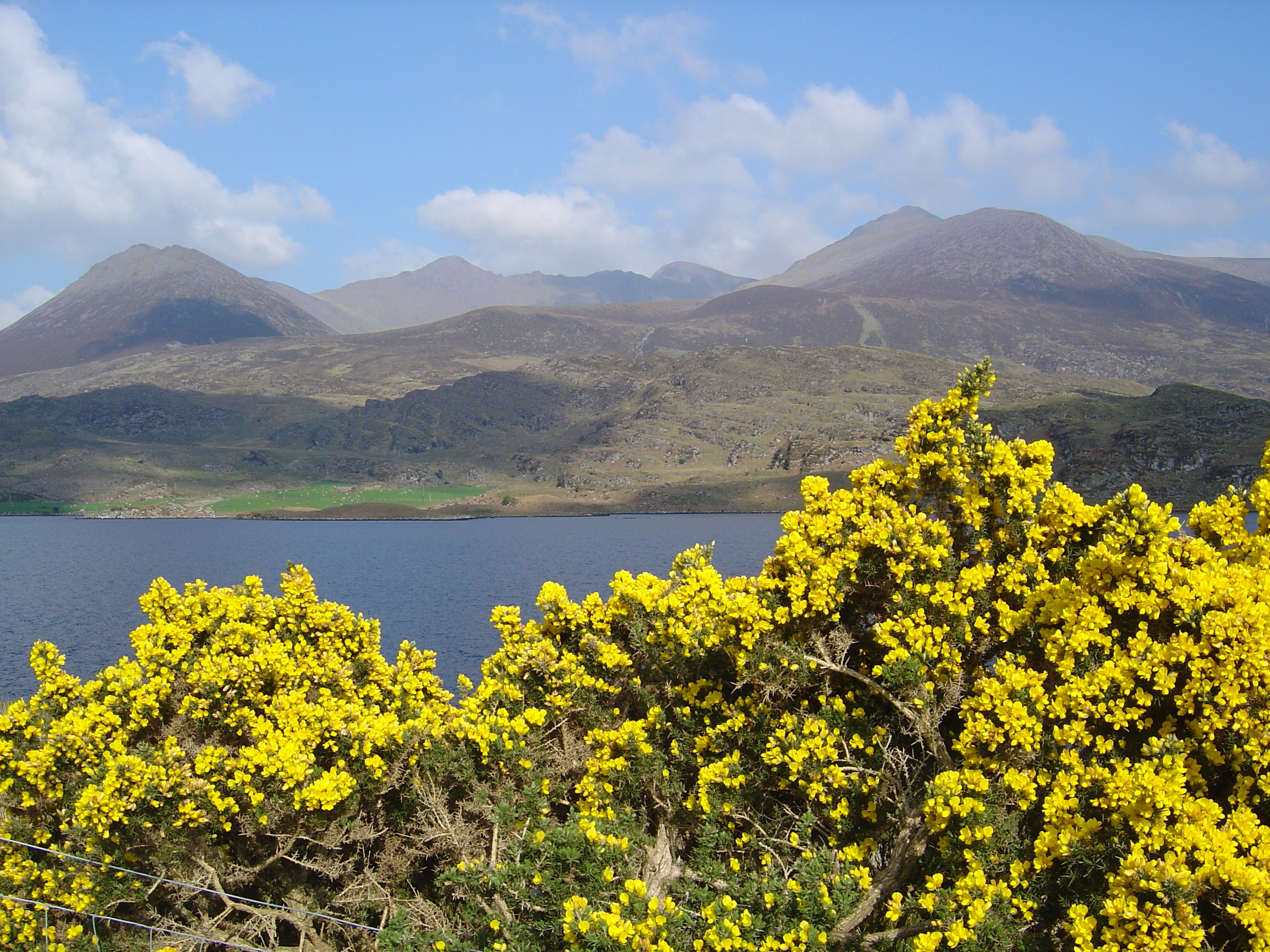 Picture Ireland Kerry Caragh Lake 2004-05 35 - History Caragh Lake