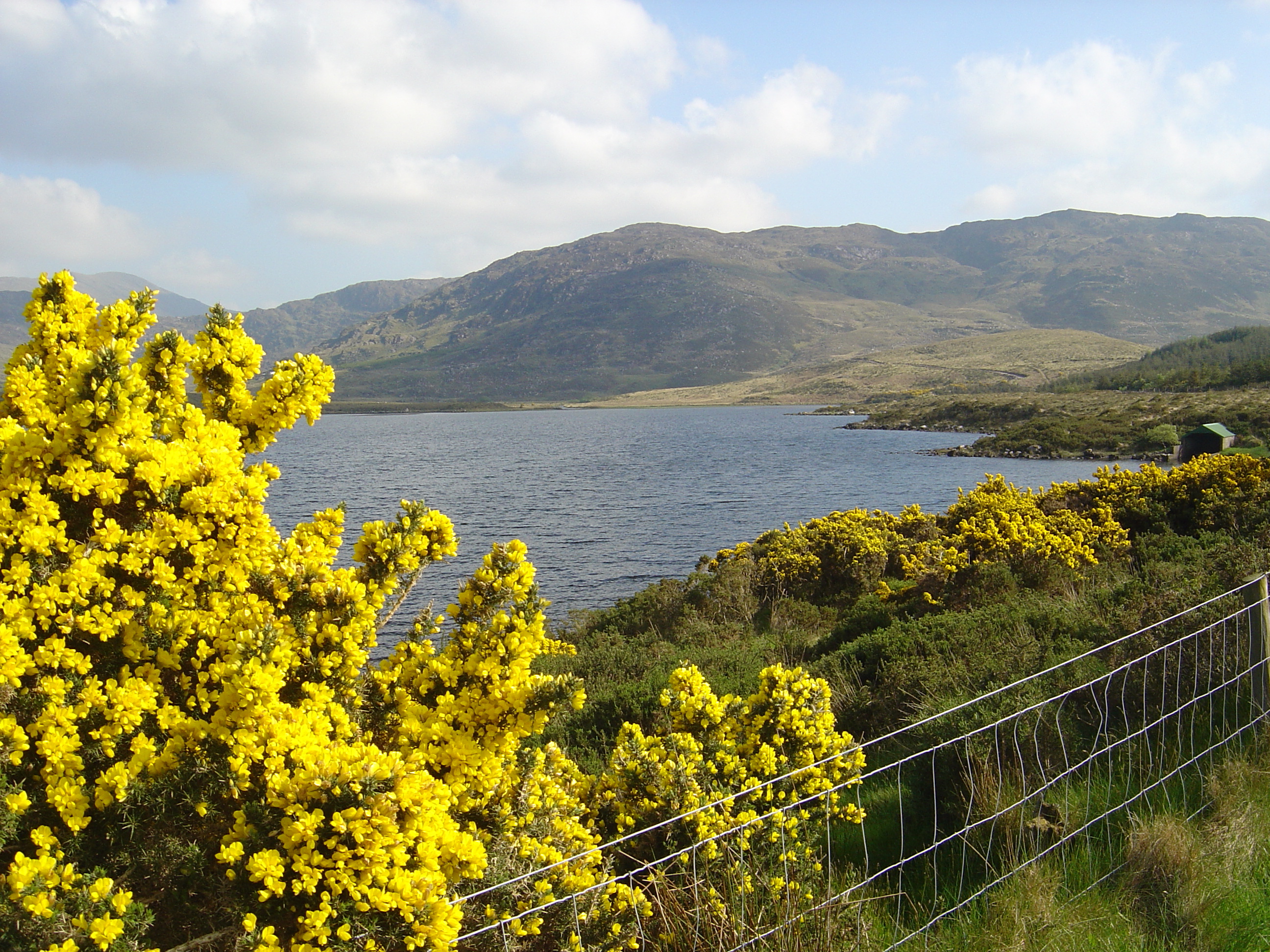 Picture Ireland Kerry Caragh Lake 2004-05 37 - Discovery Caragh Lake