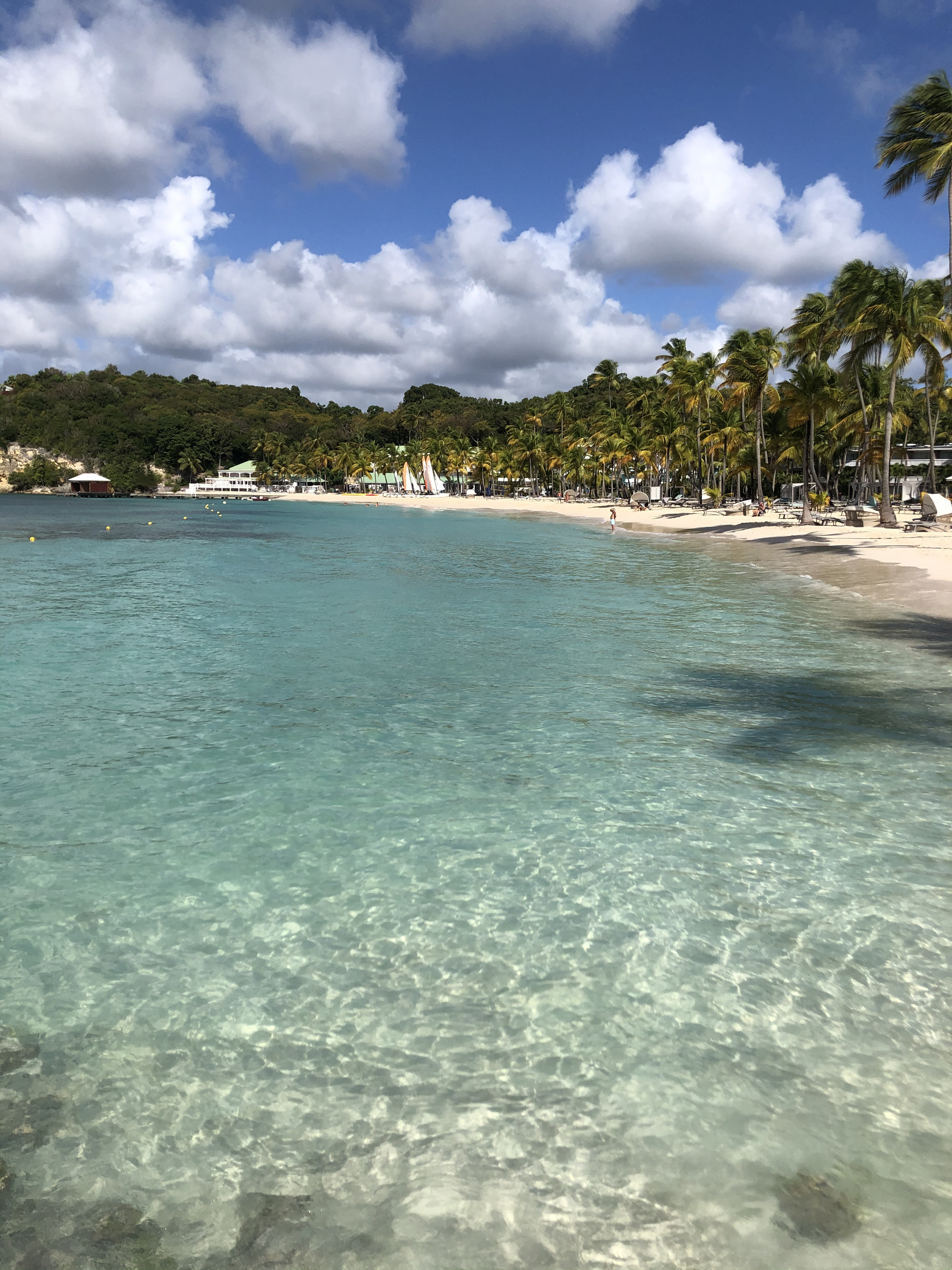 Picture Guadeloupe La Caravelle Beach 2021-02 3 - Tour La Caravelle Beach