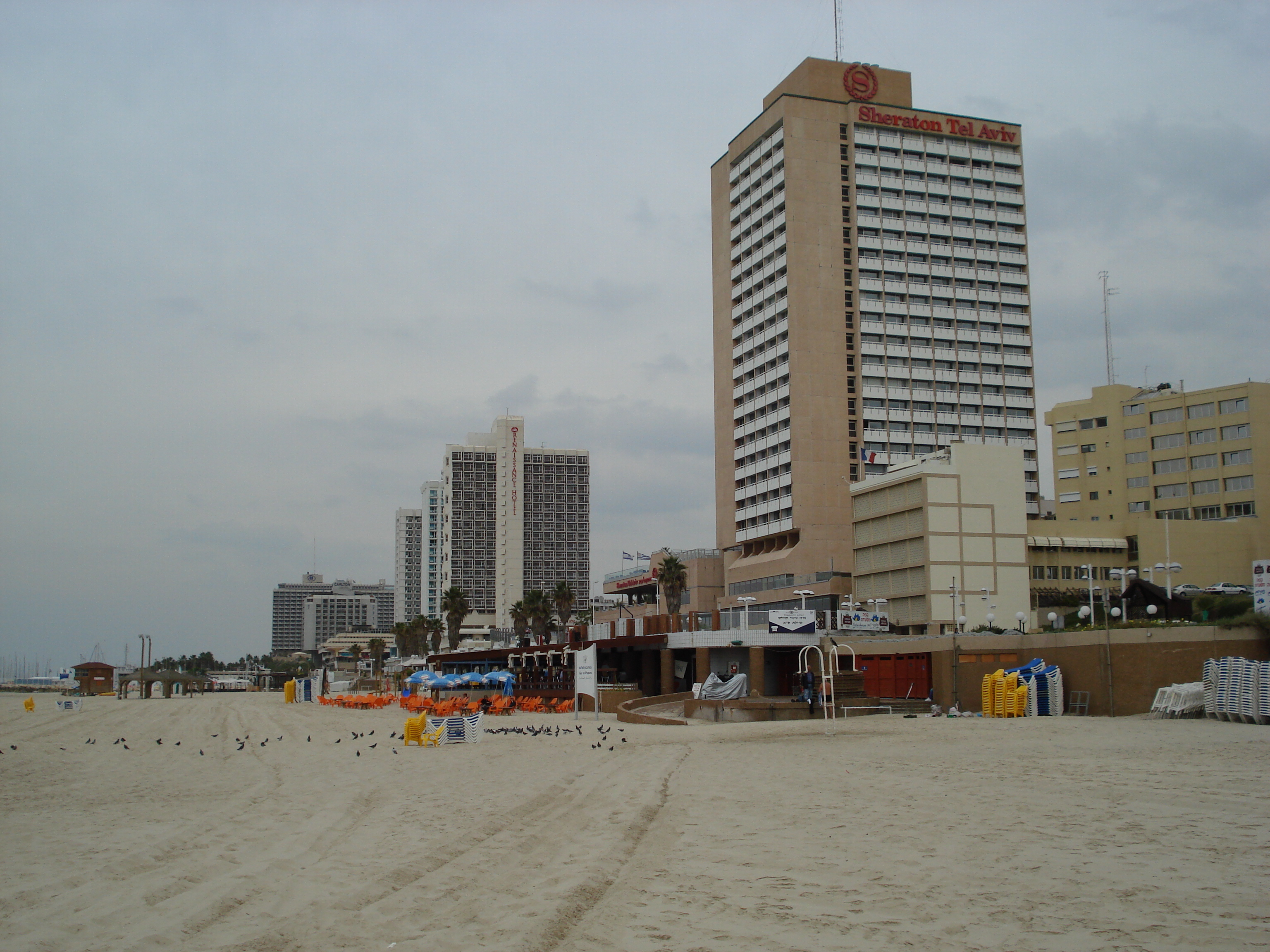 Picture Israel Tel Aviv Tel Aviv Sea Shore 2006-12 49 - Discovery Tel Aviv Sea Shore