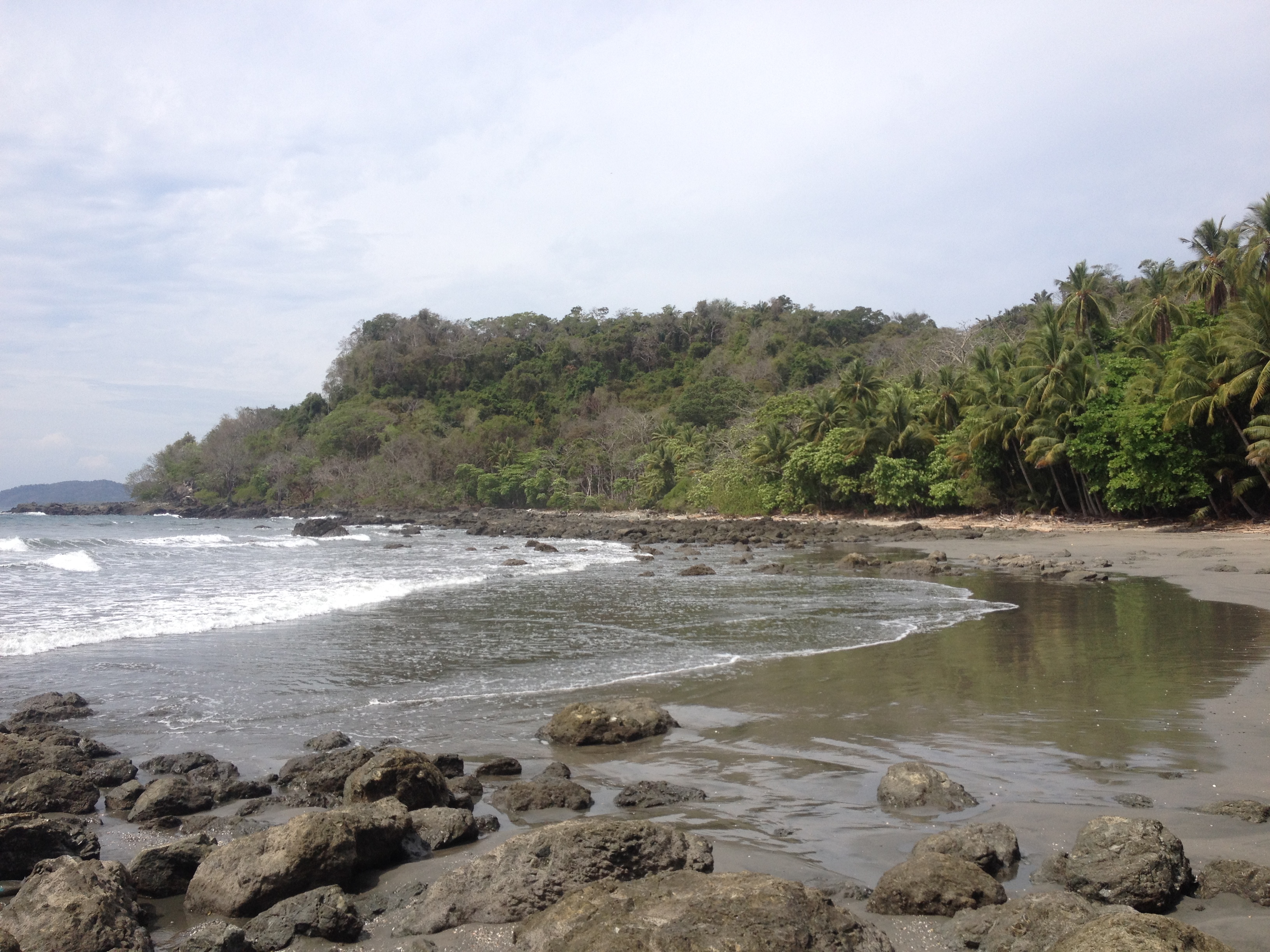 Picture Costa Rica Montezuma 2015-03 226 - Tours Montezuma