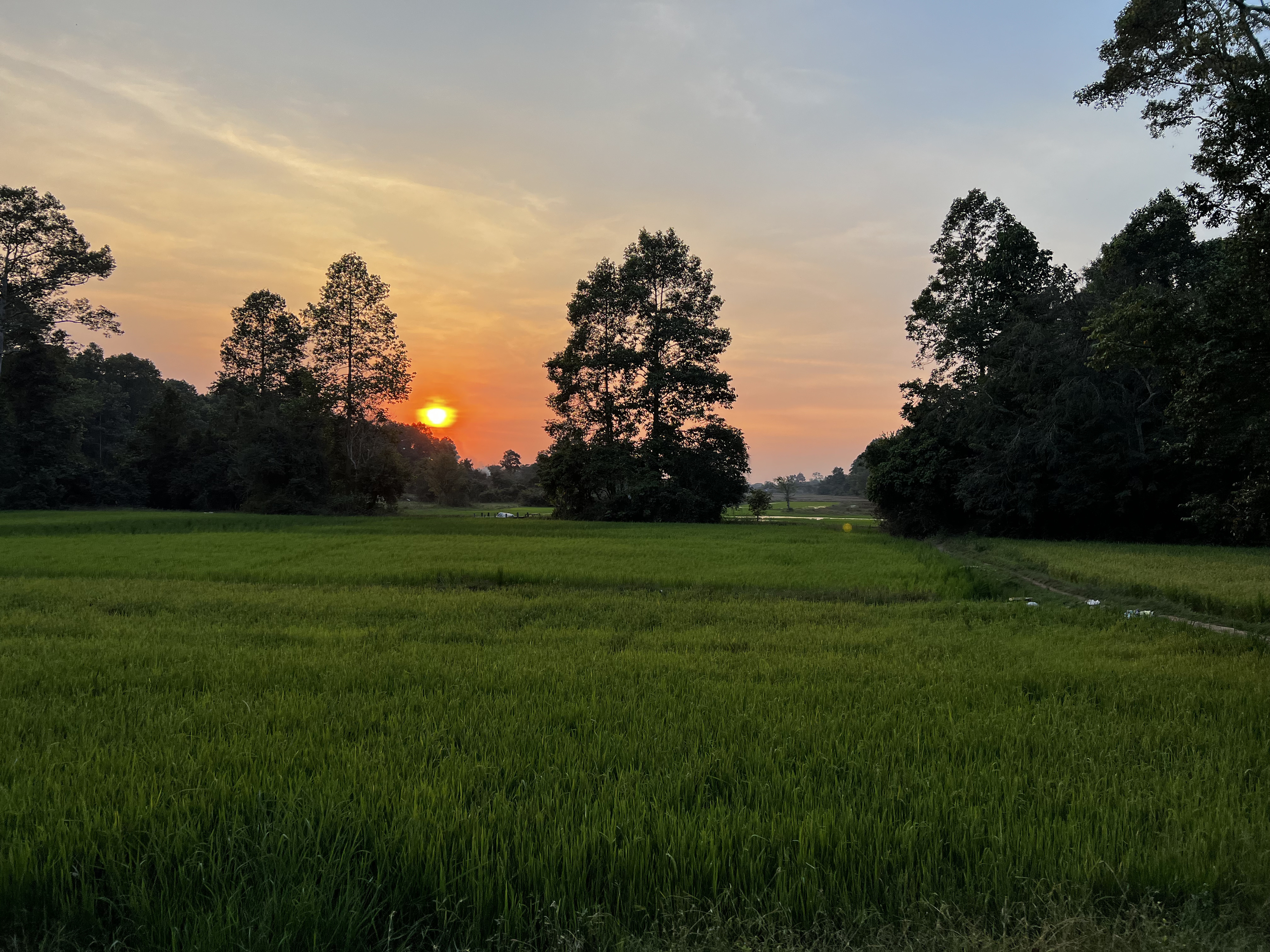 Picture Cambodia Siem Reap 2023-01 130 - Discovery Siem Reap