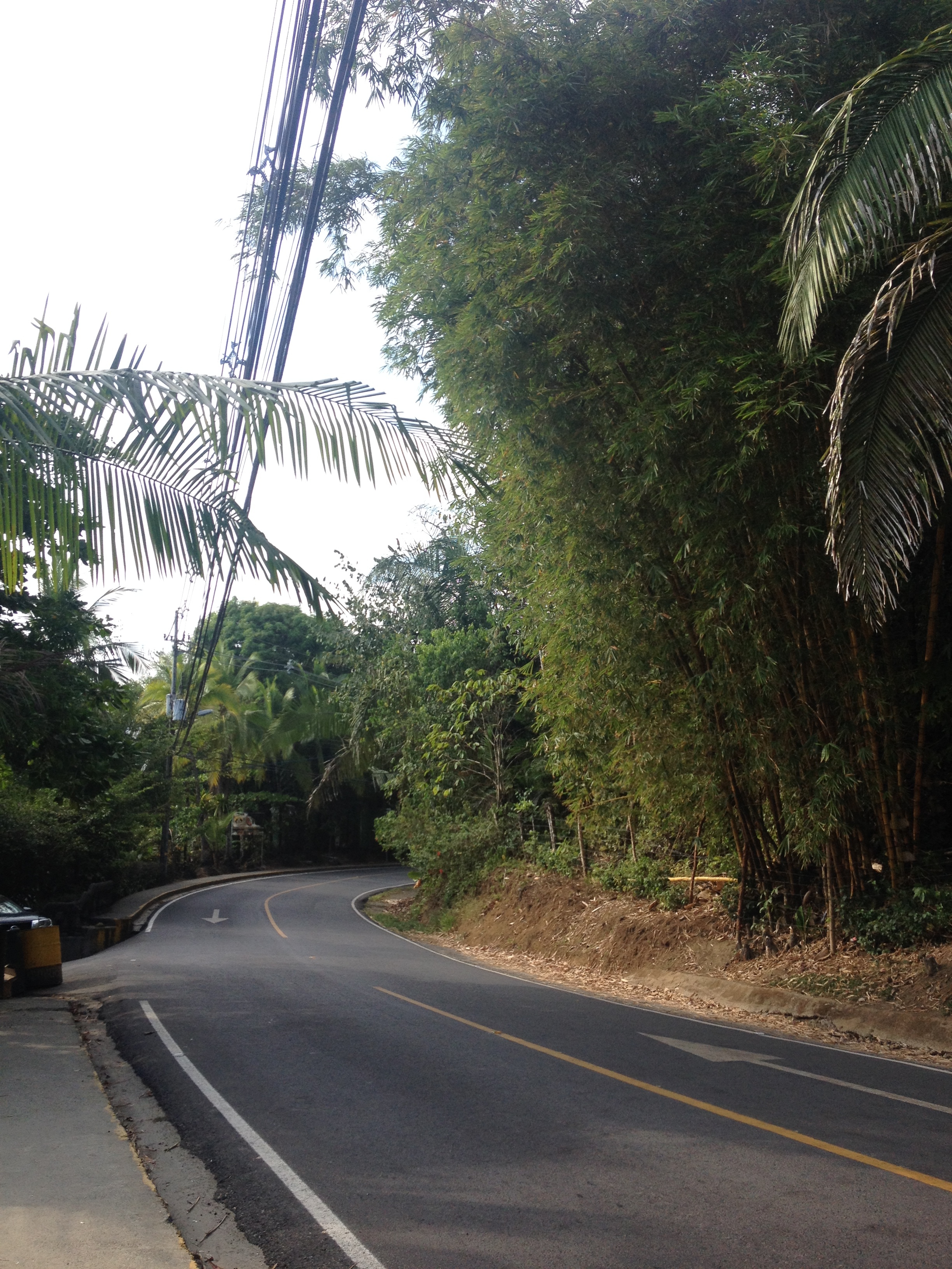 Picture Costa Rica Manuel Antonio 2015-03 182 - History Manuel Antonio