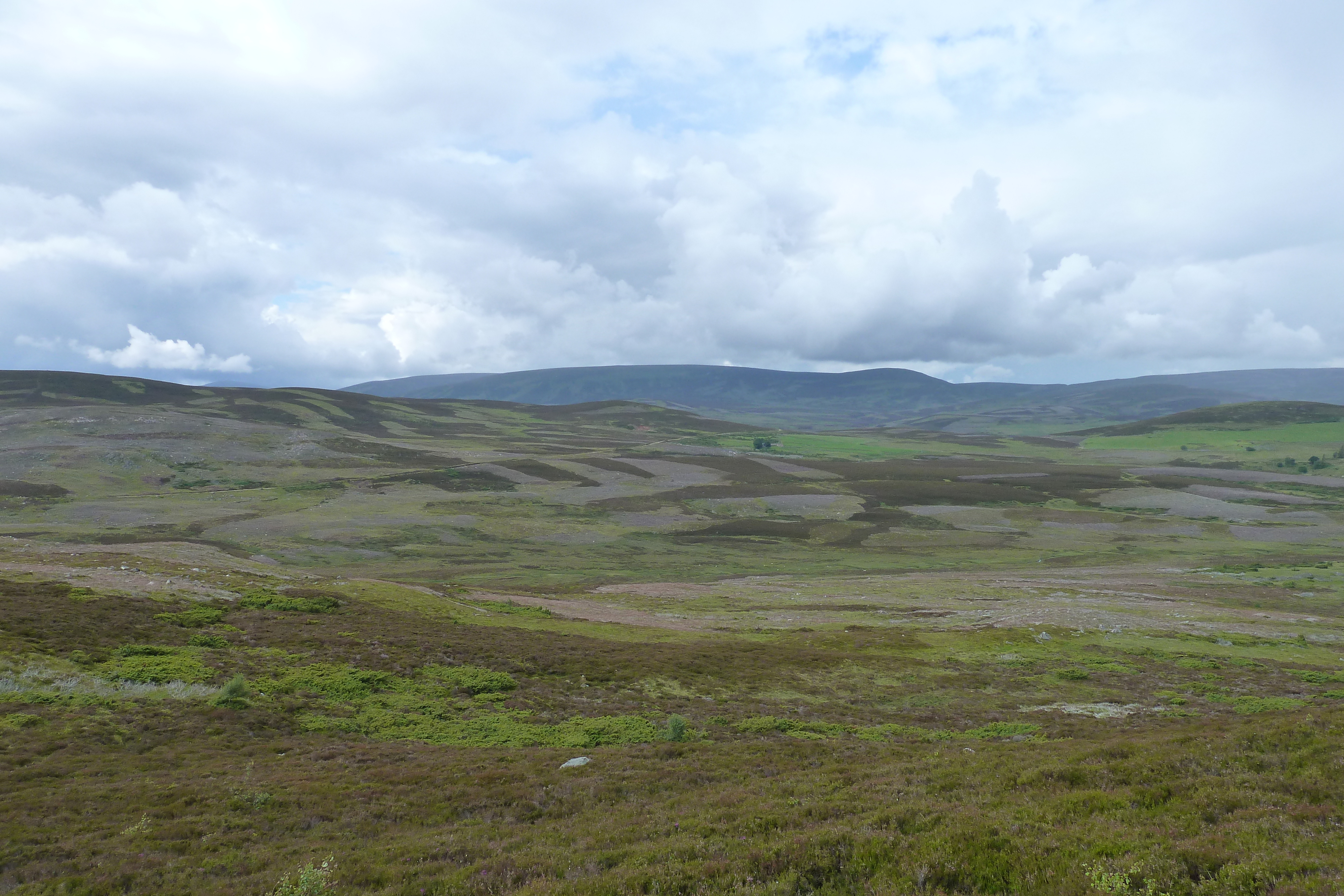 Picture United Kingdom Cairngorms National Park 2011-07 126 - Tour Cairngorms National Park